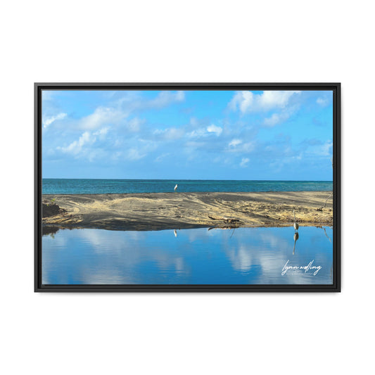 Wading - Puerto Rico