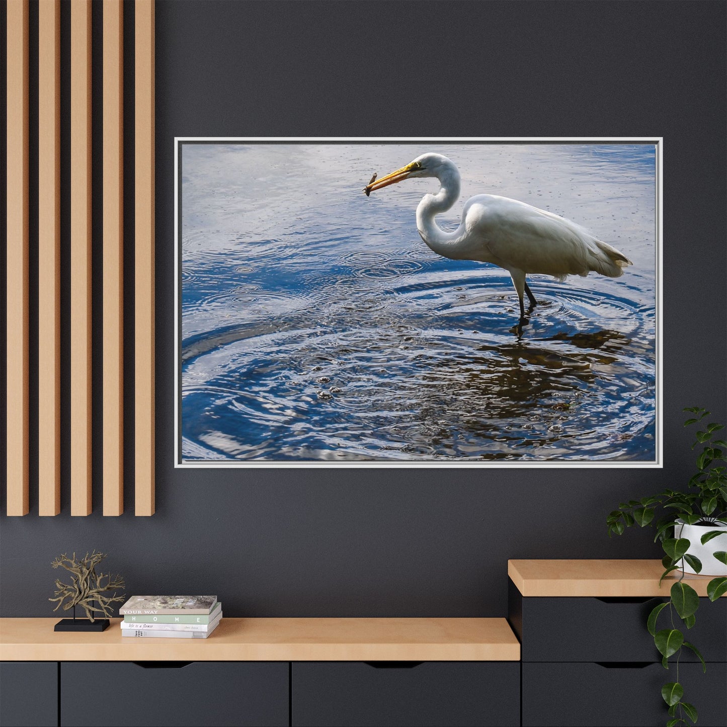 Hunting - Puerto Rico