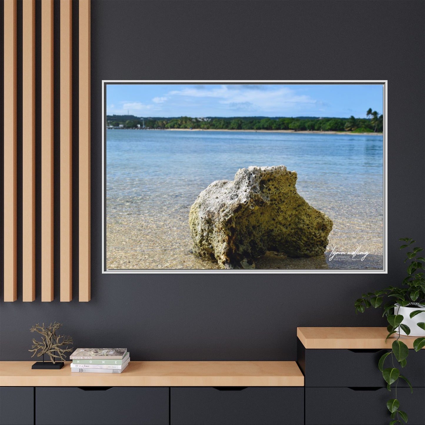 The View - Puerto Rico