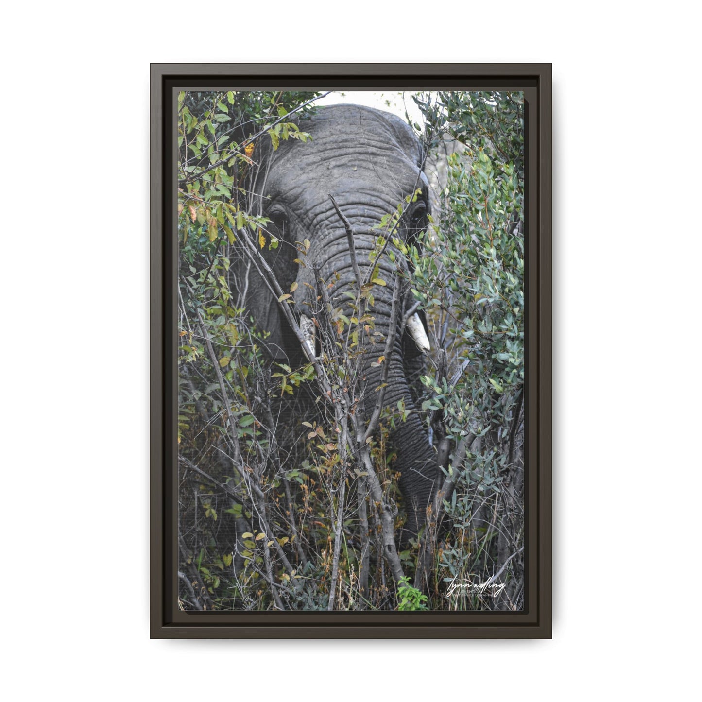 Eye to Eye - South Africa