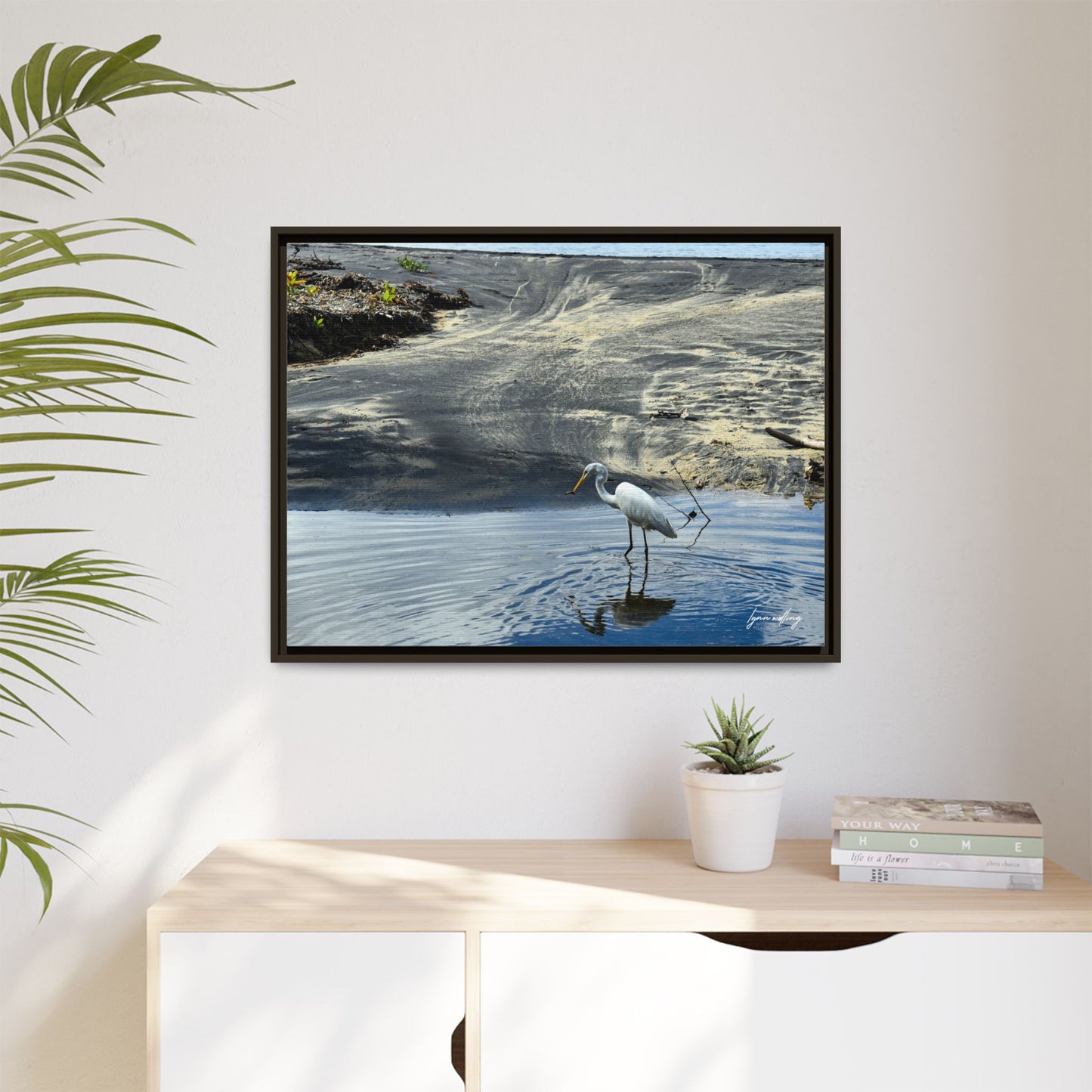 Lagoon Hunting - Puerto Rico