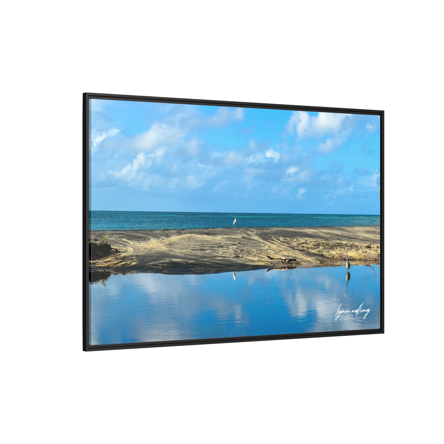 Wading - Puerto Rico