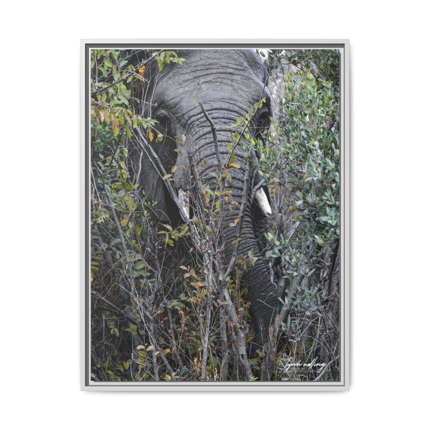 Eye to Eye - South Africa