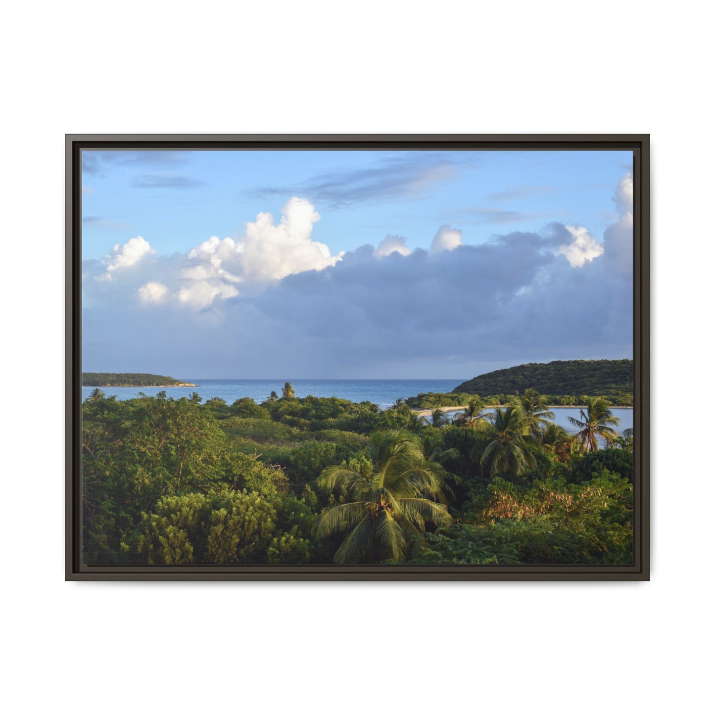 Tropical Sunset - Puerto Rico