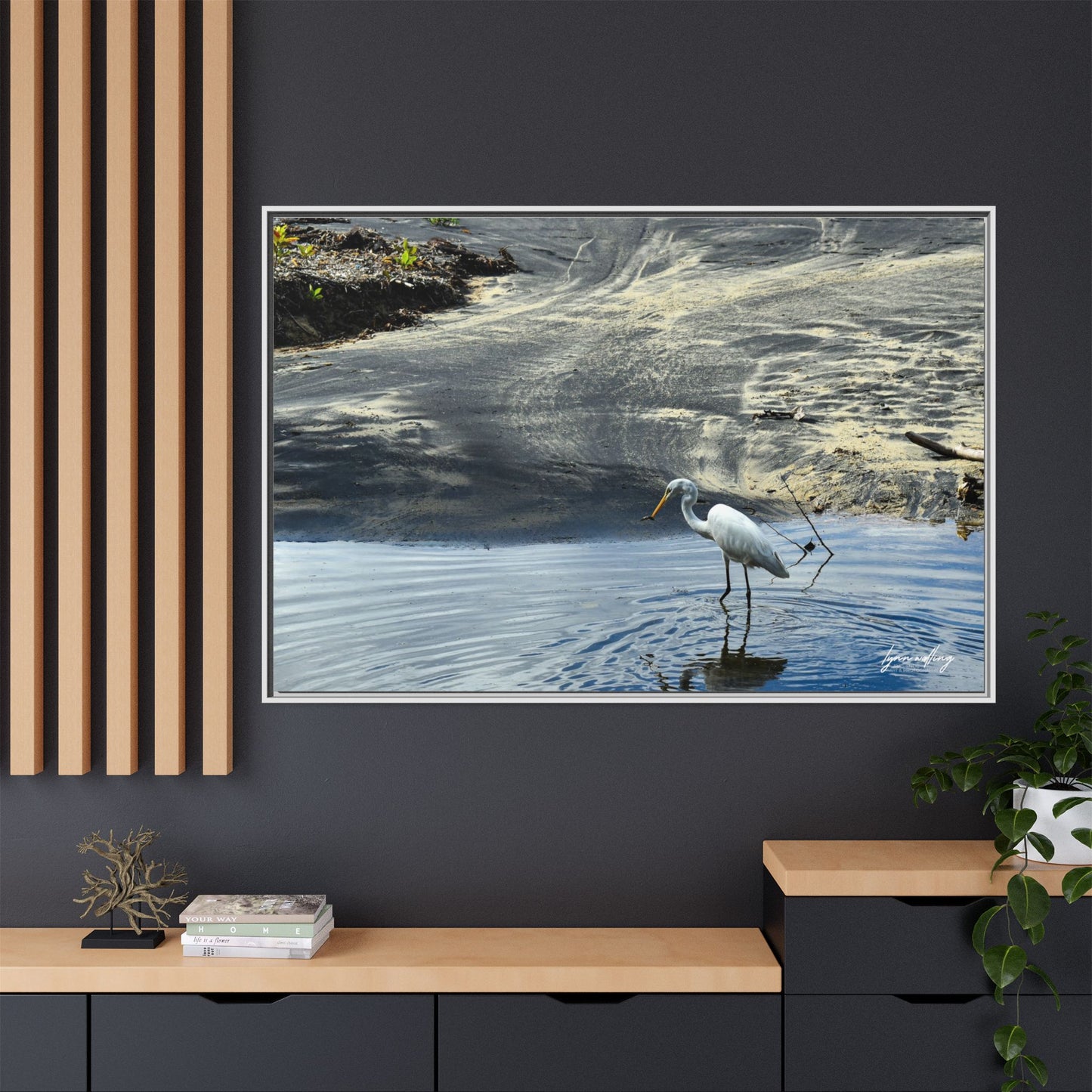 Lagoon Hunting - Puerto Rico