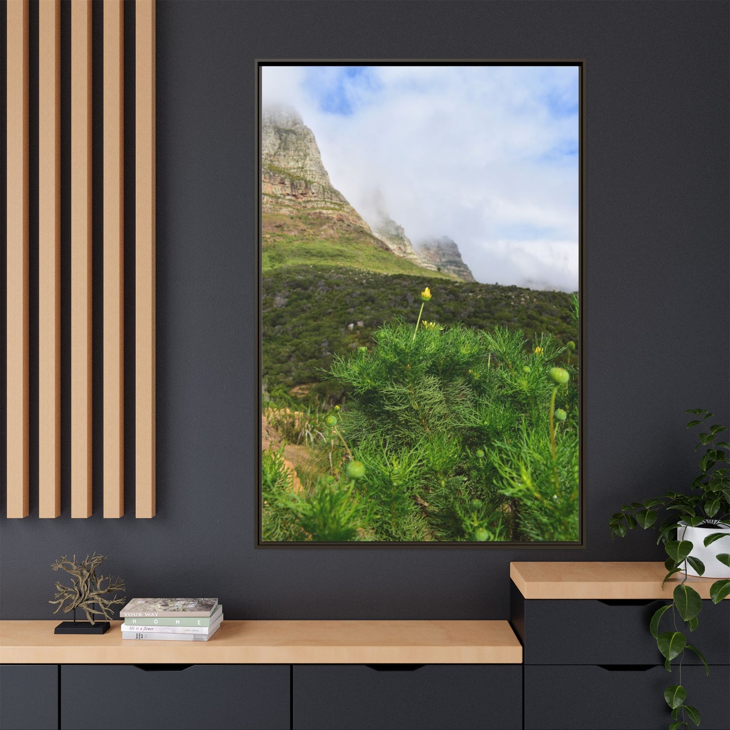 Wildflower - Capetown