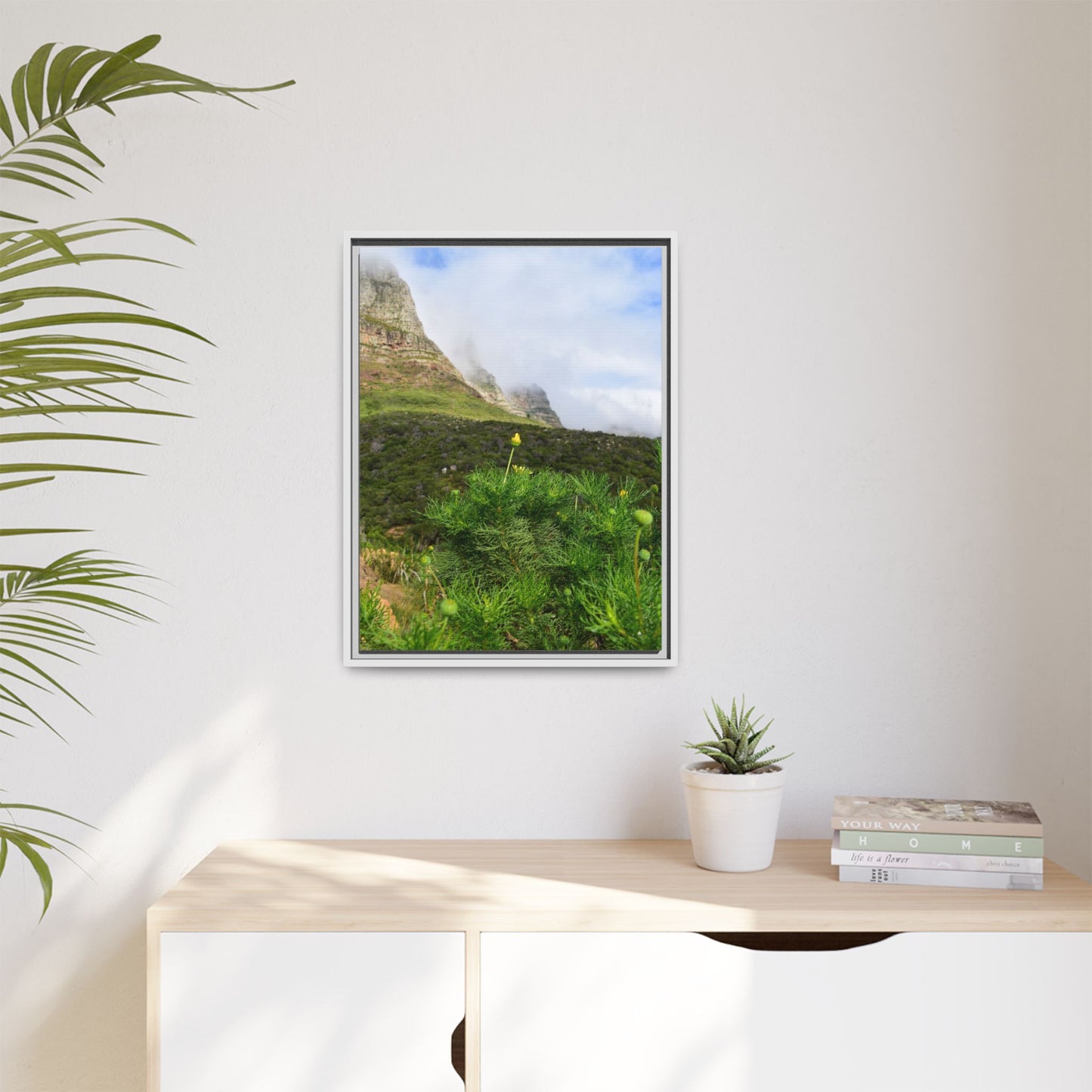 Wildflower - Capetown