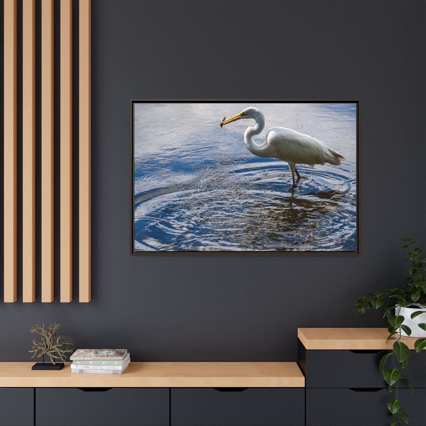 Hunting - Puerto Rico