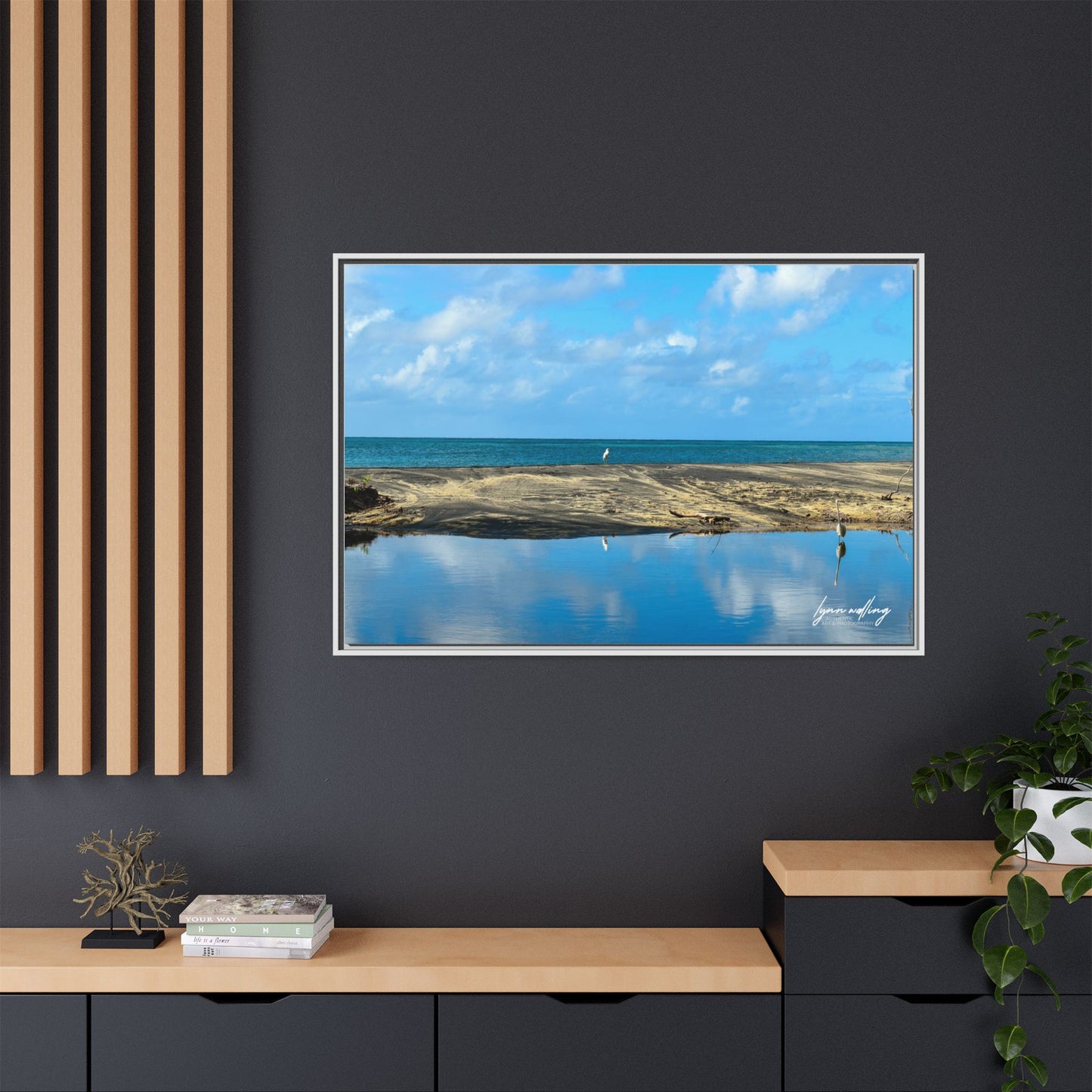 Wading - Puerto Rico