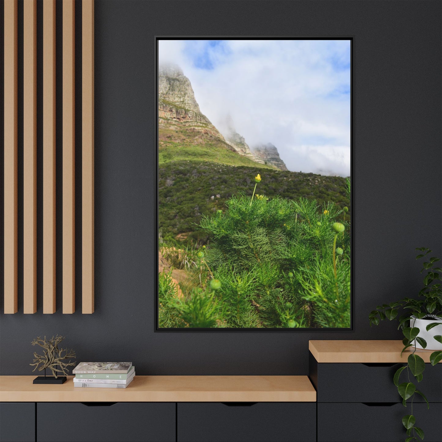 Wildflower - Capetown