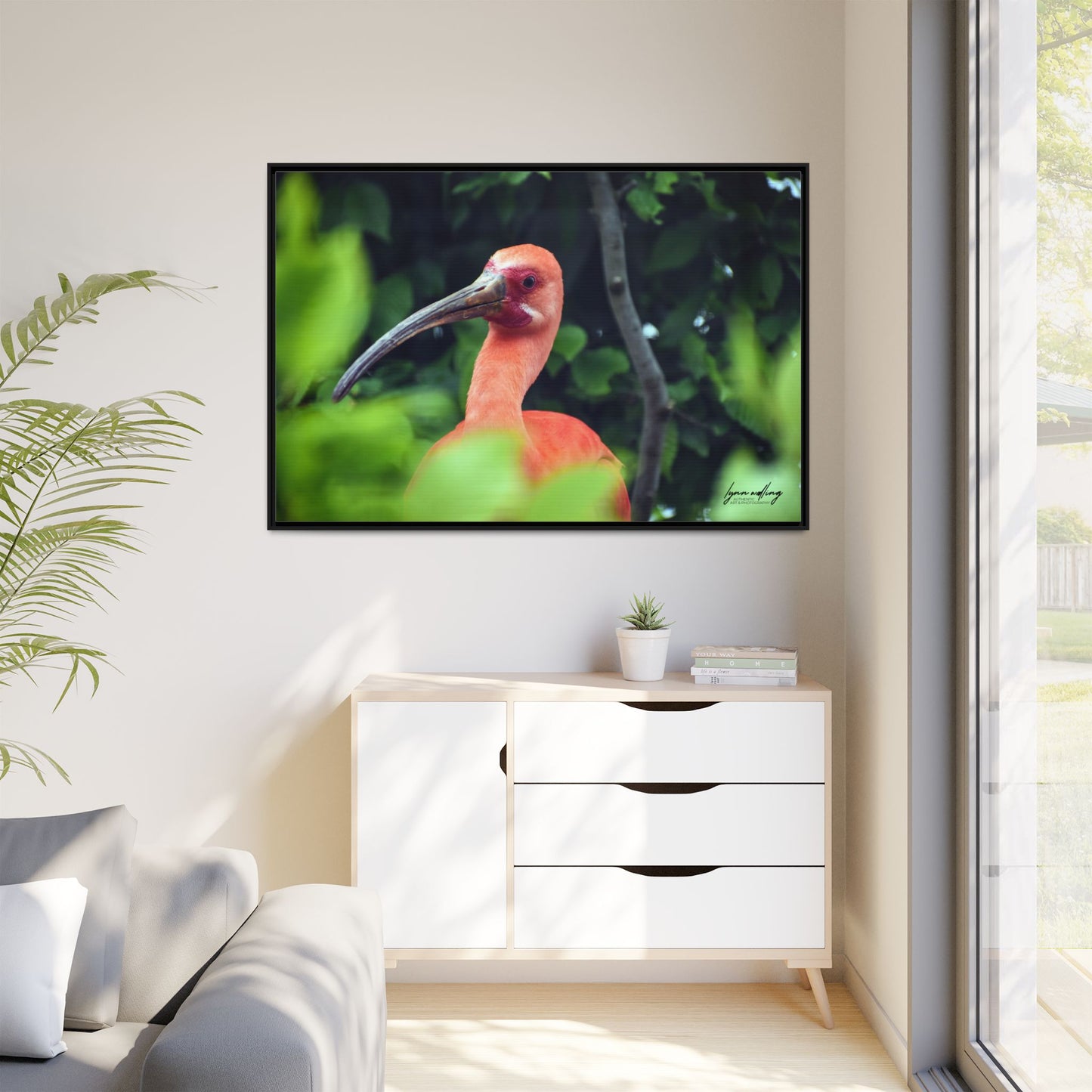 Wanna Be Flamingo - Switzerland