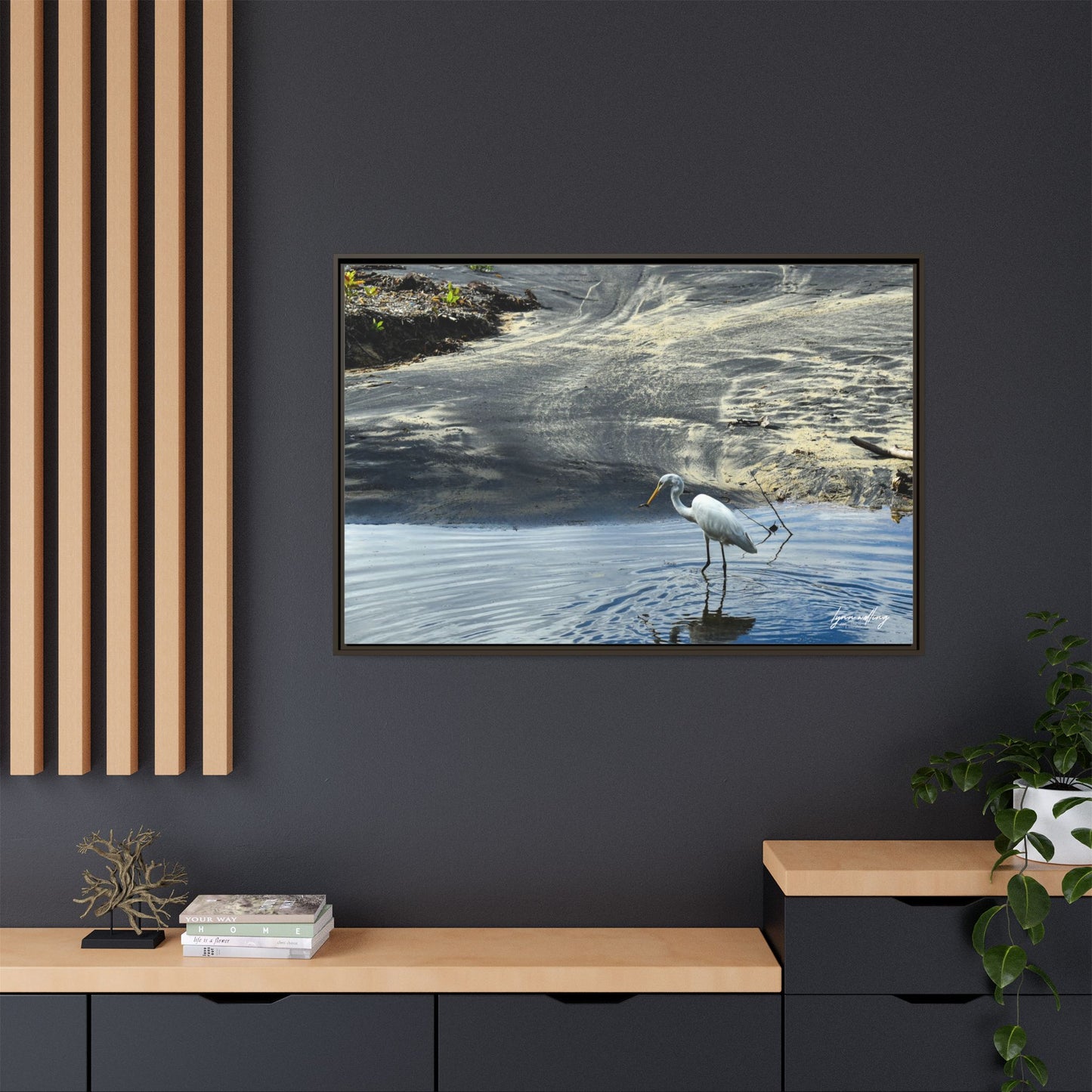 Lagoon Hunting - Puerto Rico