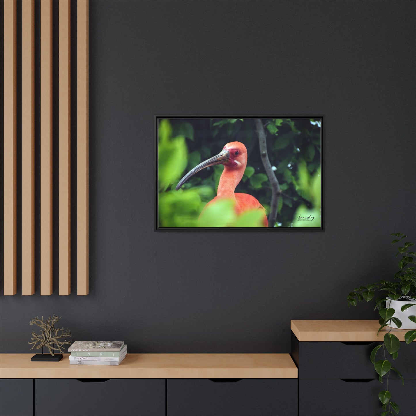 Wanna Be Flamingo - Switzerland