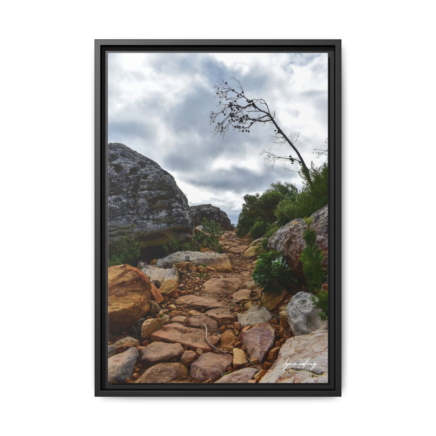 Path to Nowhere - Capetown