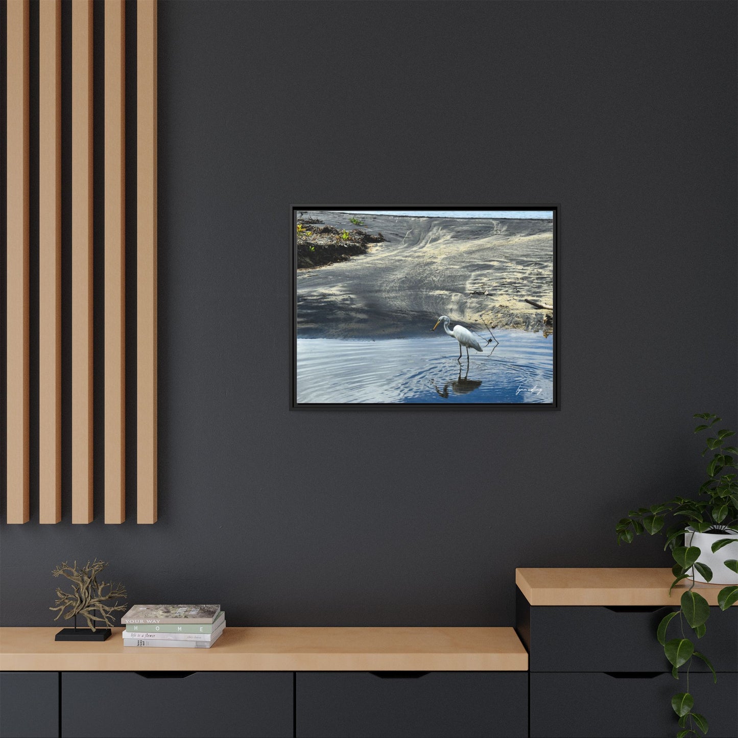 Lagoon Hunting - Puerto Rico