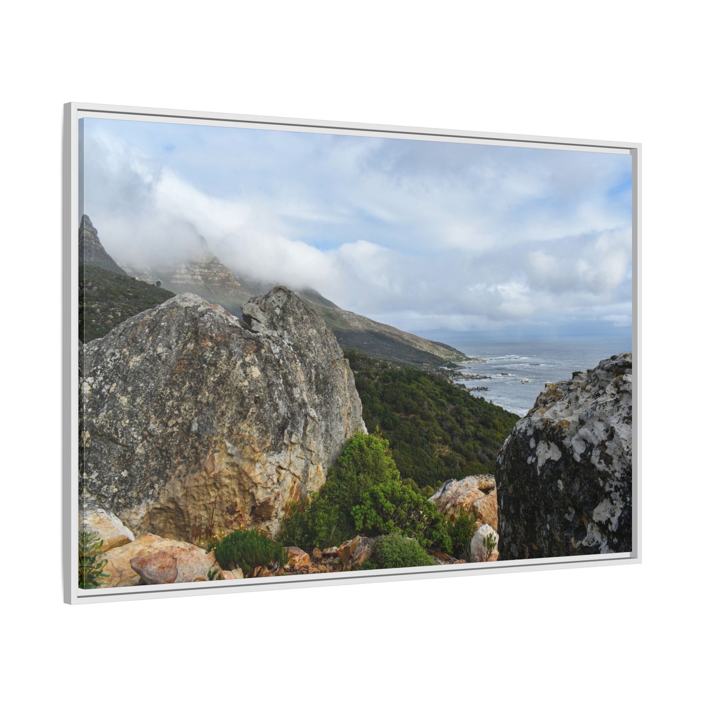 The View - Cape Town