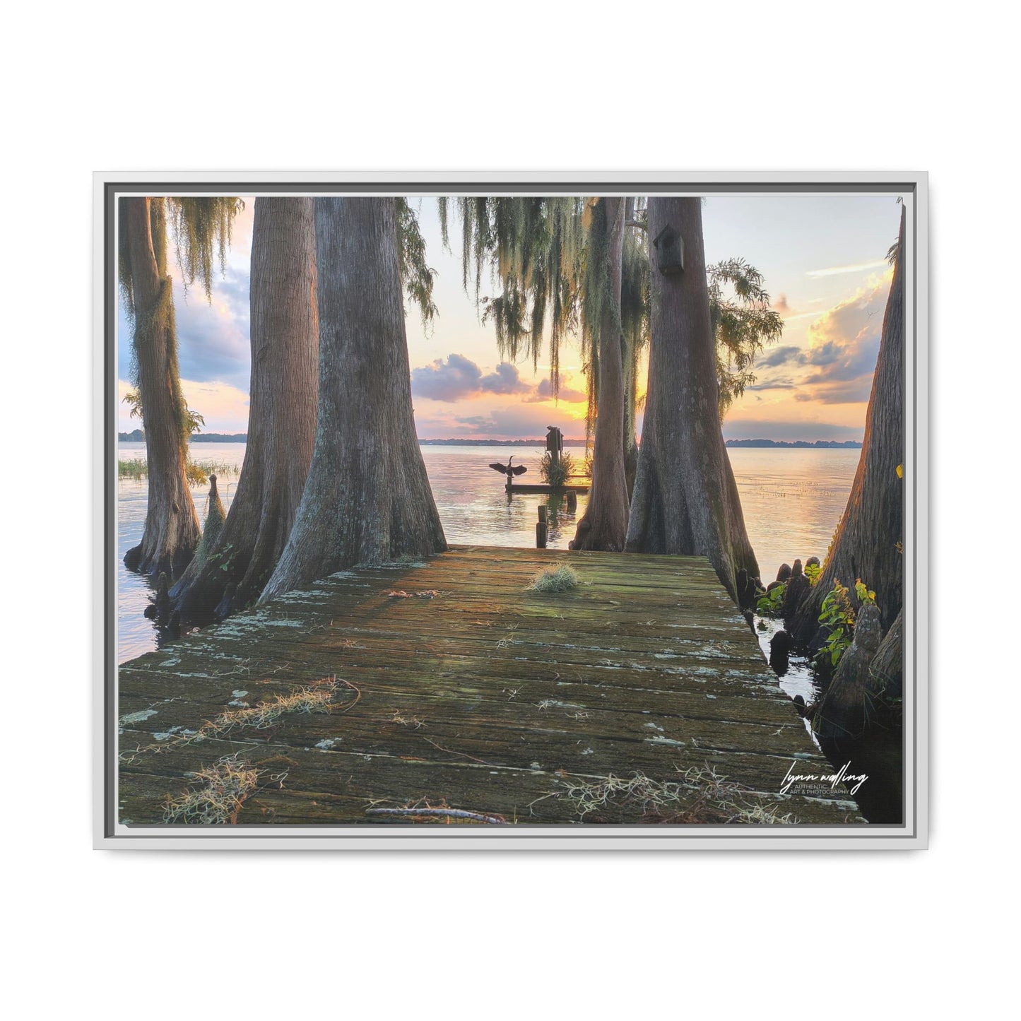 Eloise Sunset - Lakeland