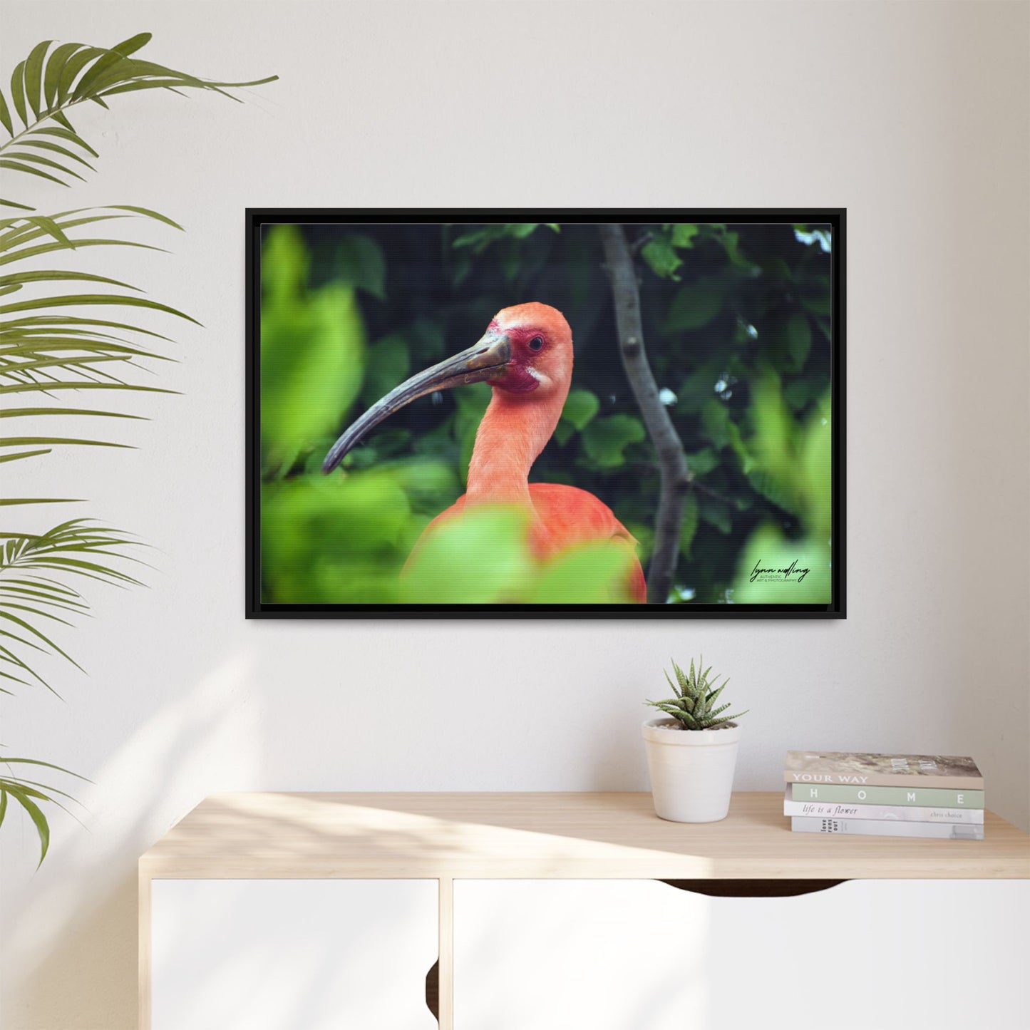 Wanna Be Flamingo - Switzerland