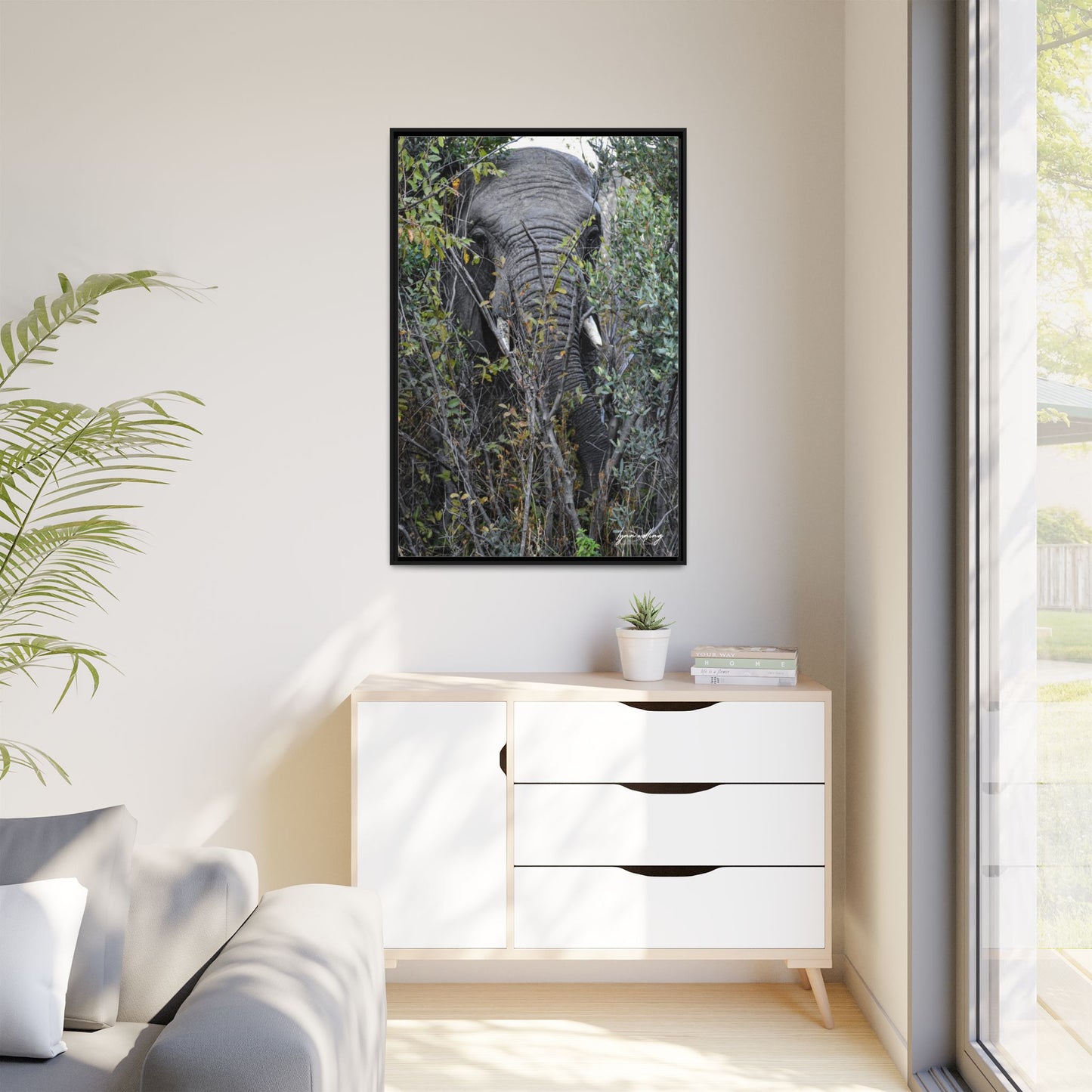 Eye to Eye - South Africa