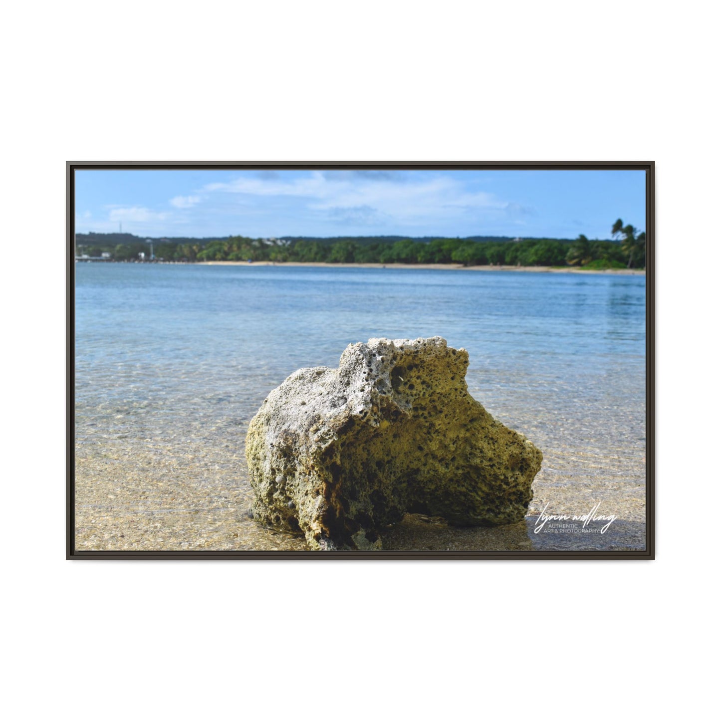 The View - Puerto Rico