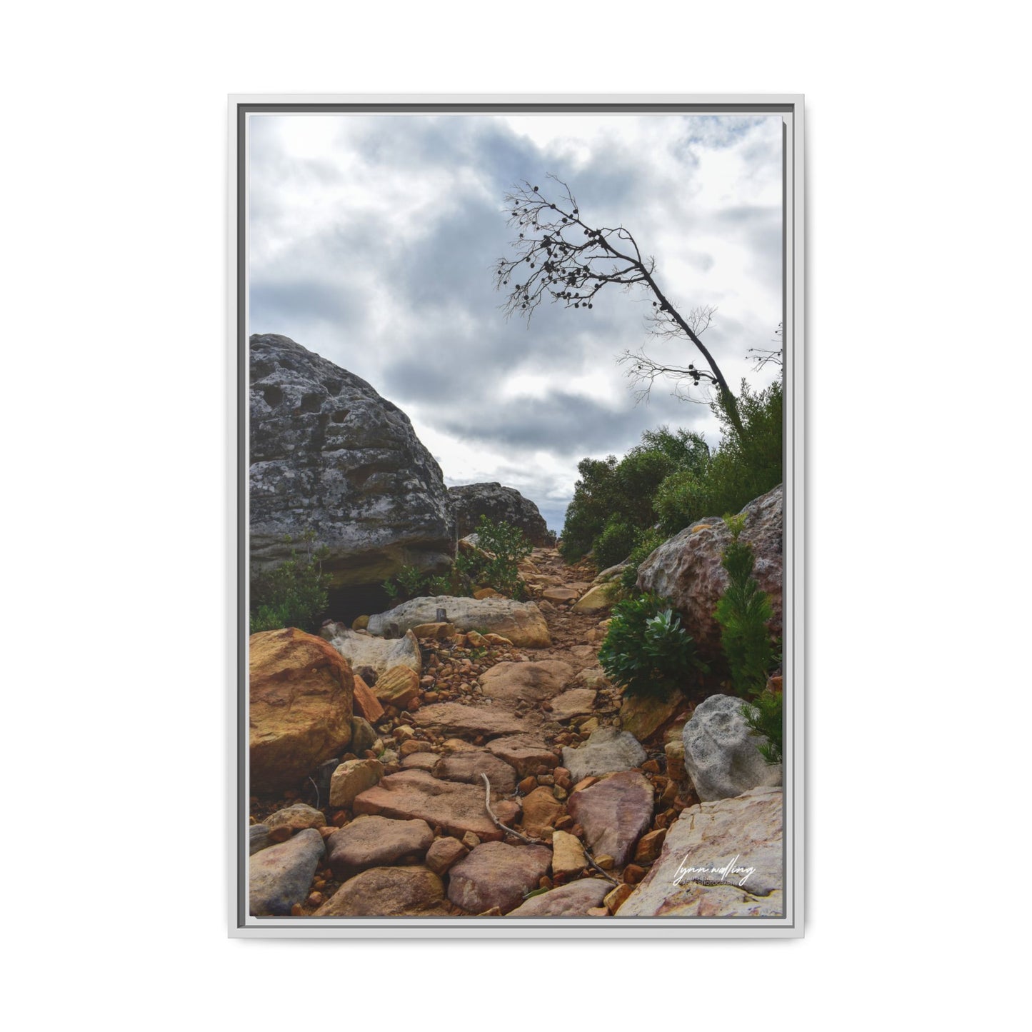 Path to Nowhere - Capetown