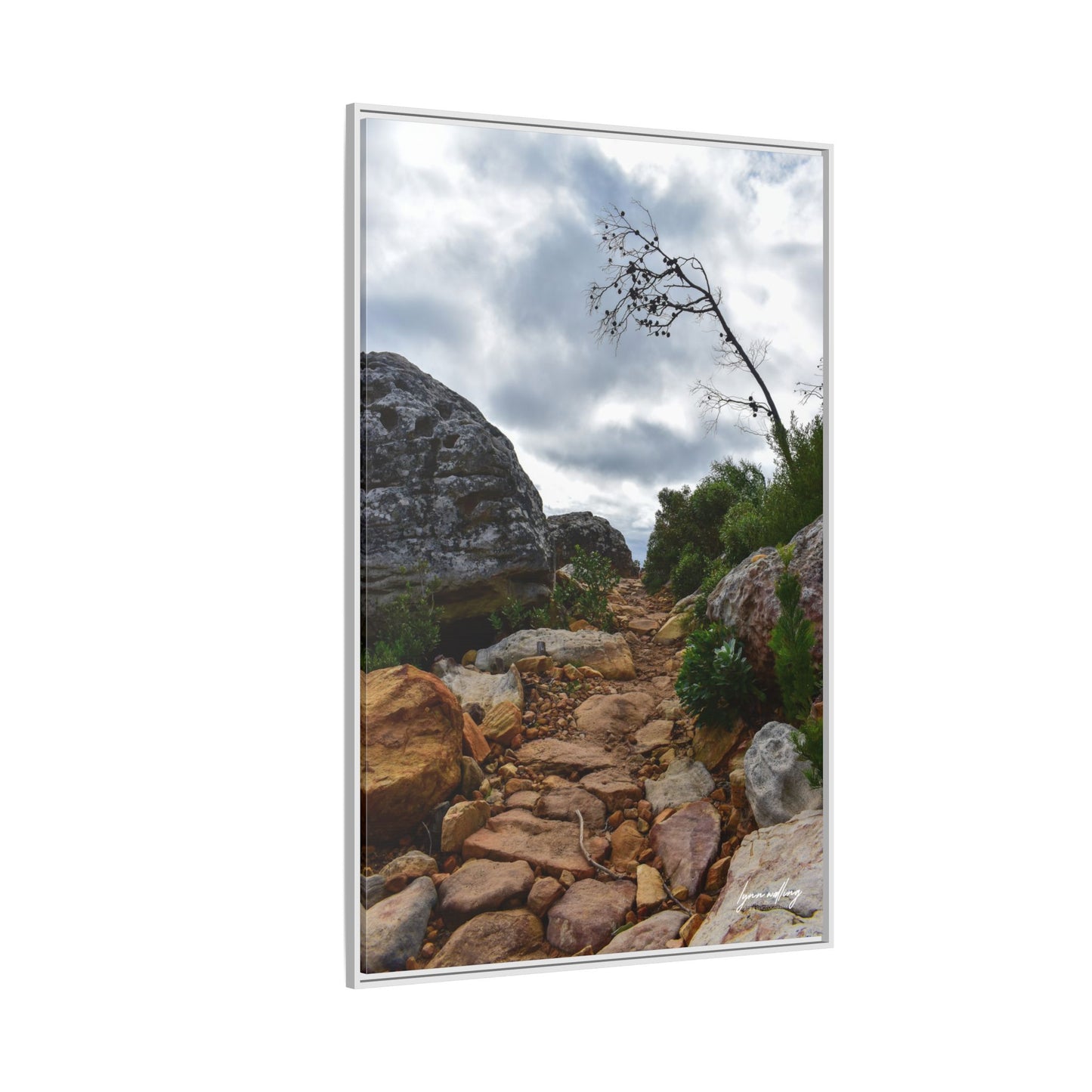 Path to Nowhere - Capetown