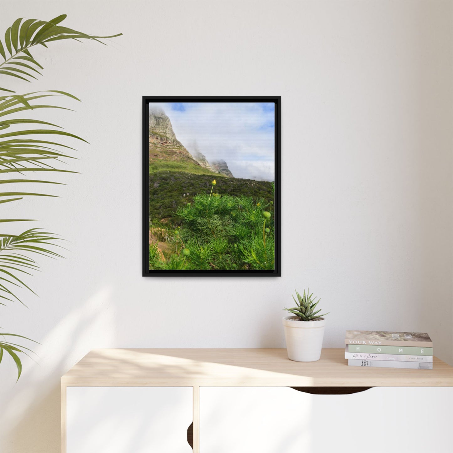 Wildflower - Capetown