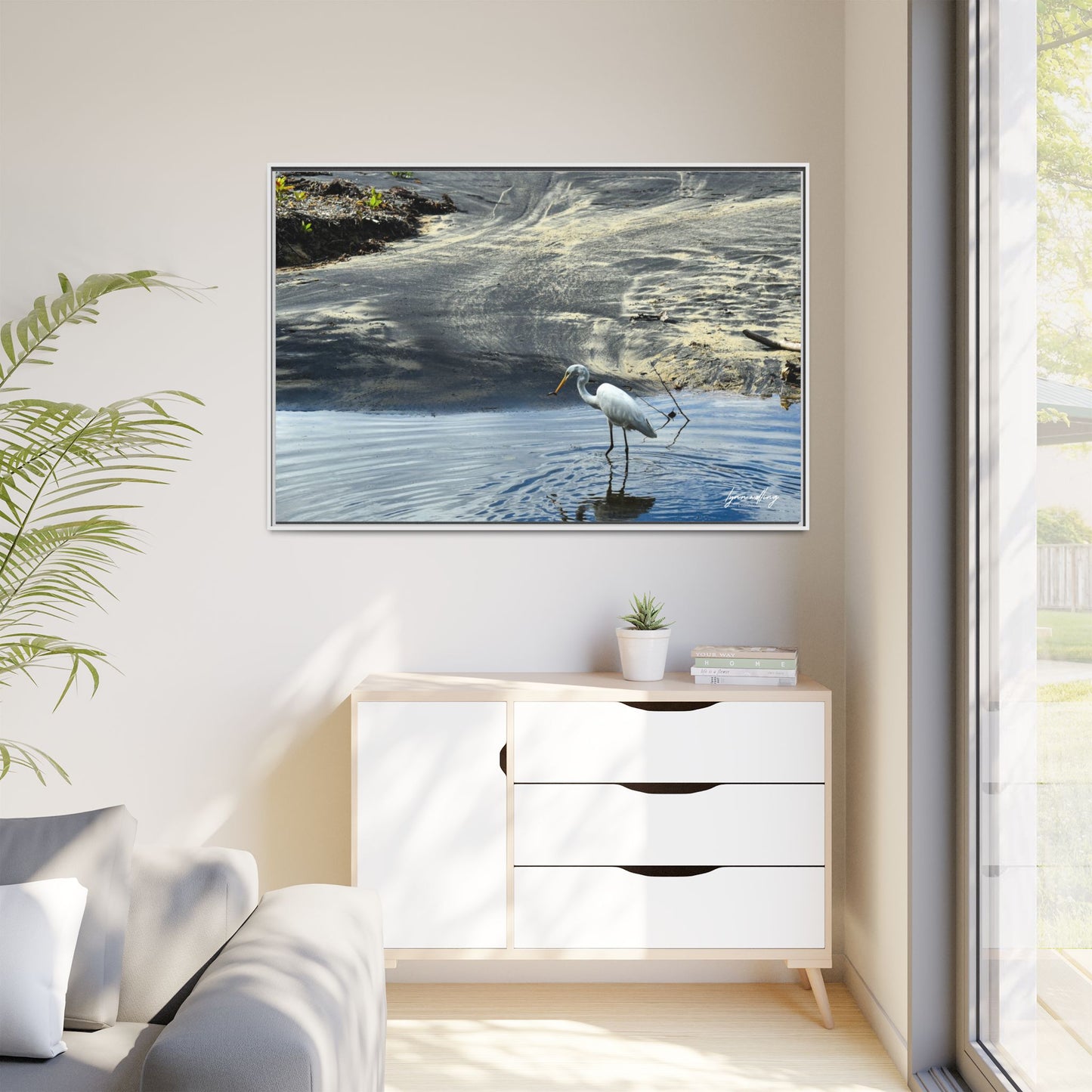 Lagoon Hunting - Puerto Rico