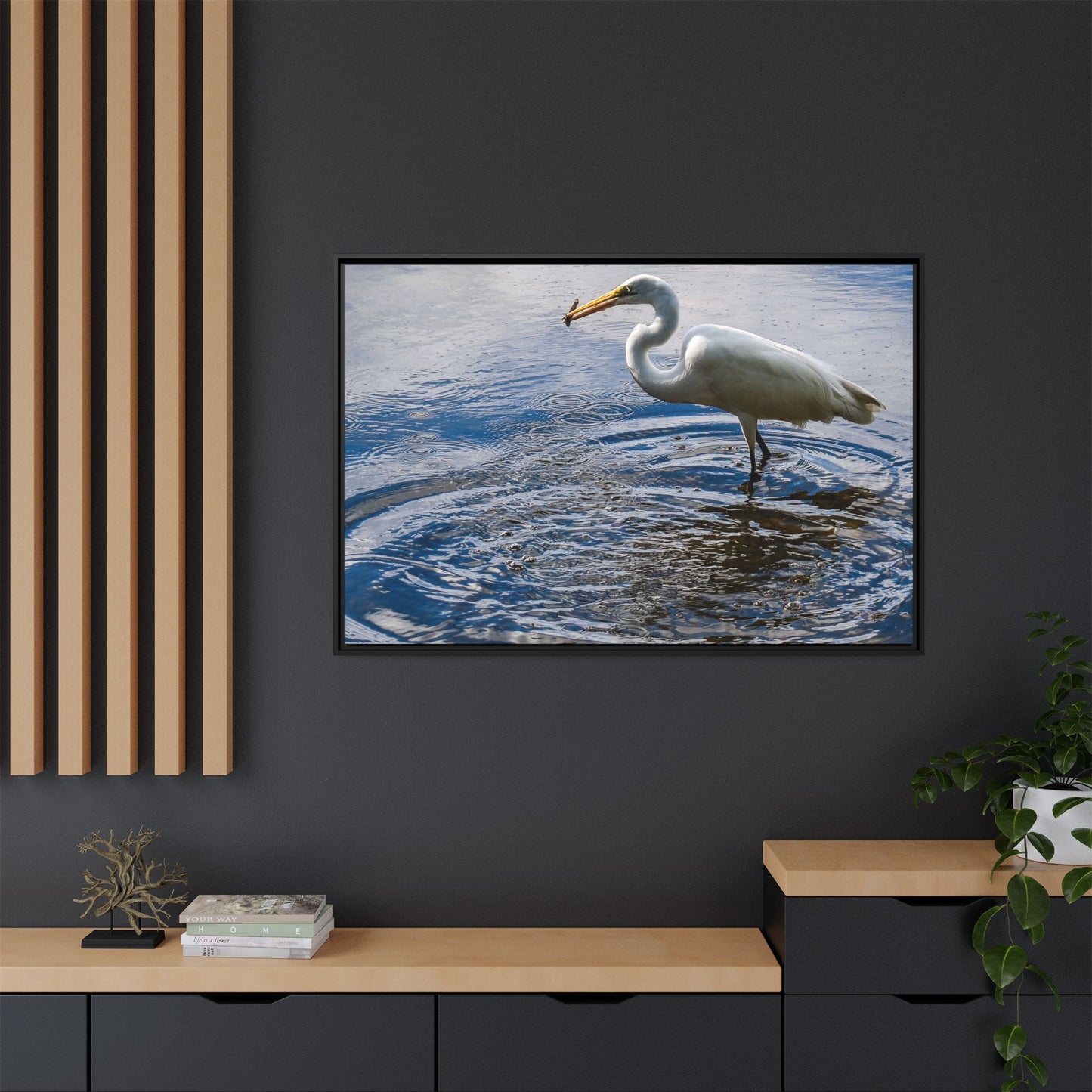 Hunting - Puerto Rico