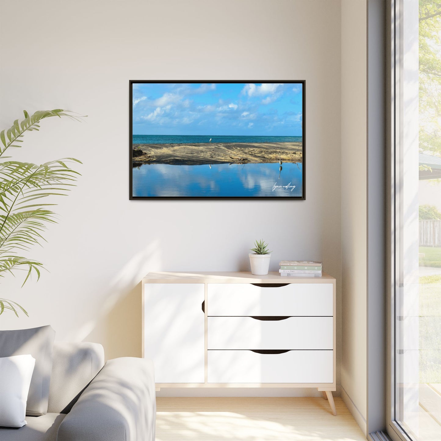 Wading - Puerto Rico