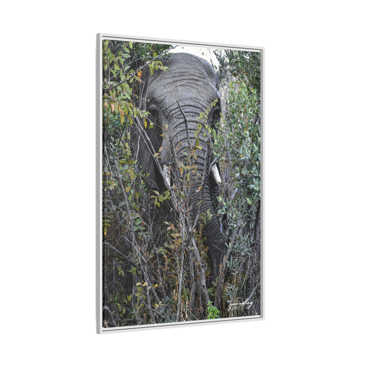 Eye to Eye - South Africa