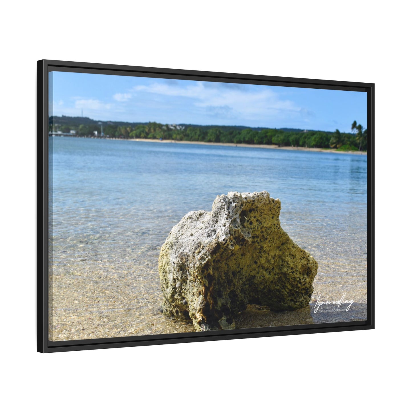 The View - Puerto Rico