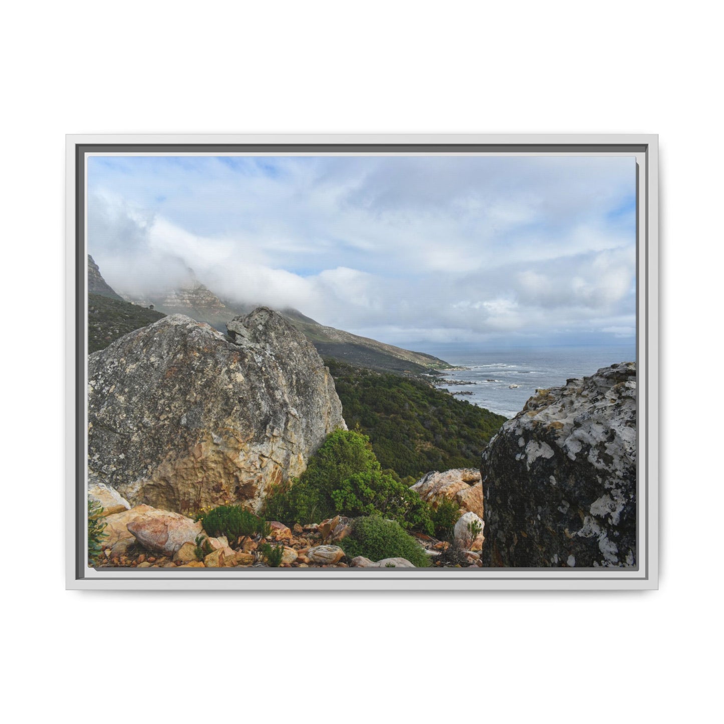 The View - Cape Town