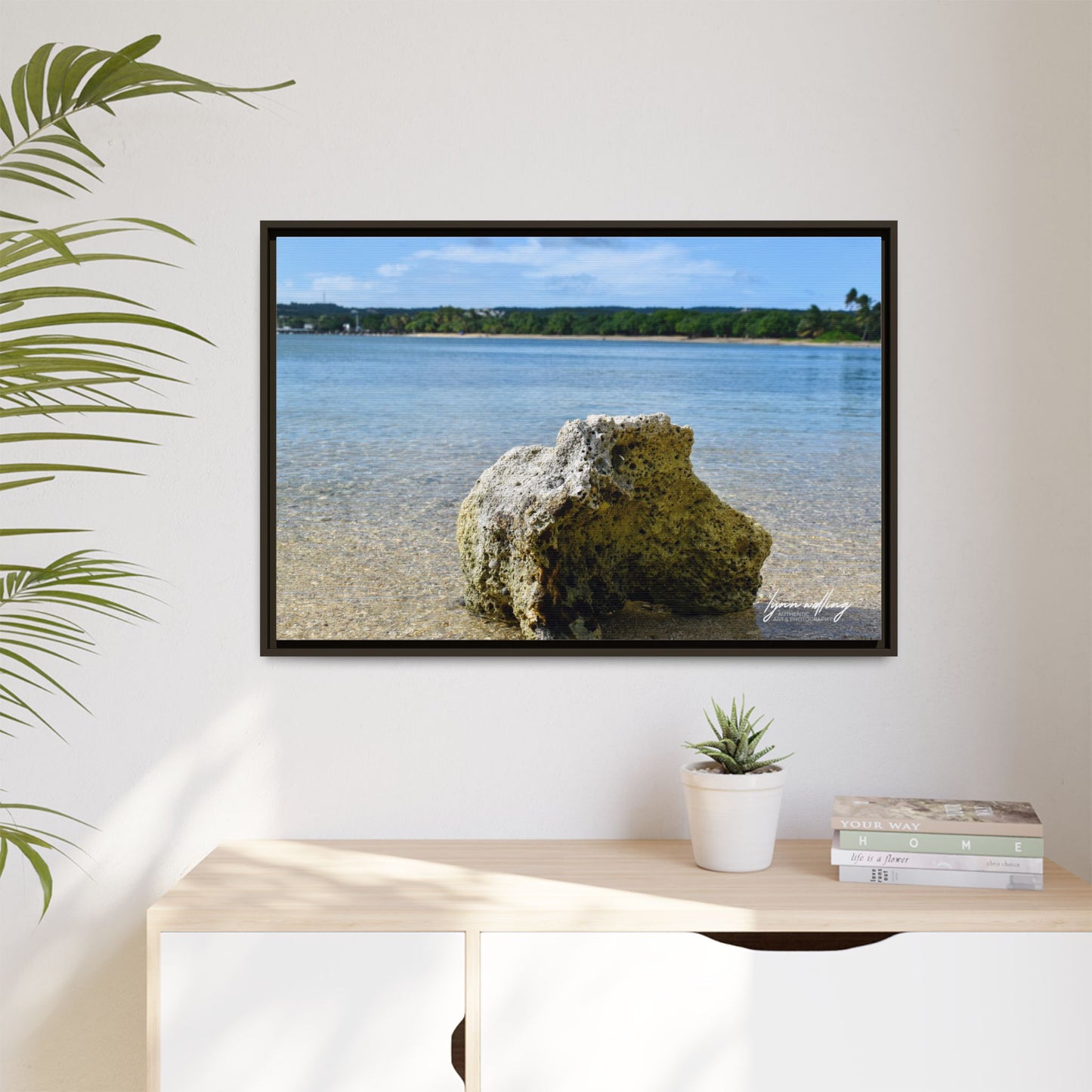 The View - Puerto Rico