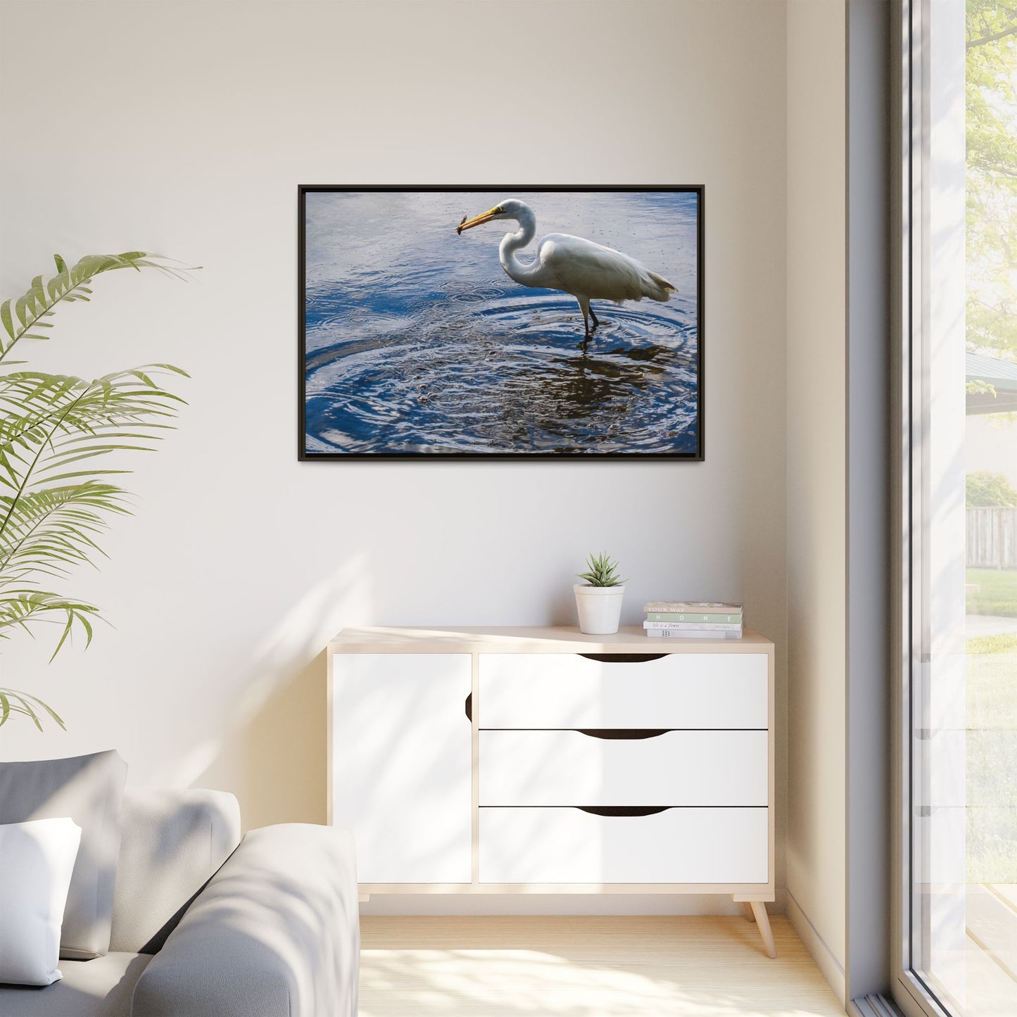 Hunting - Puerto Rico