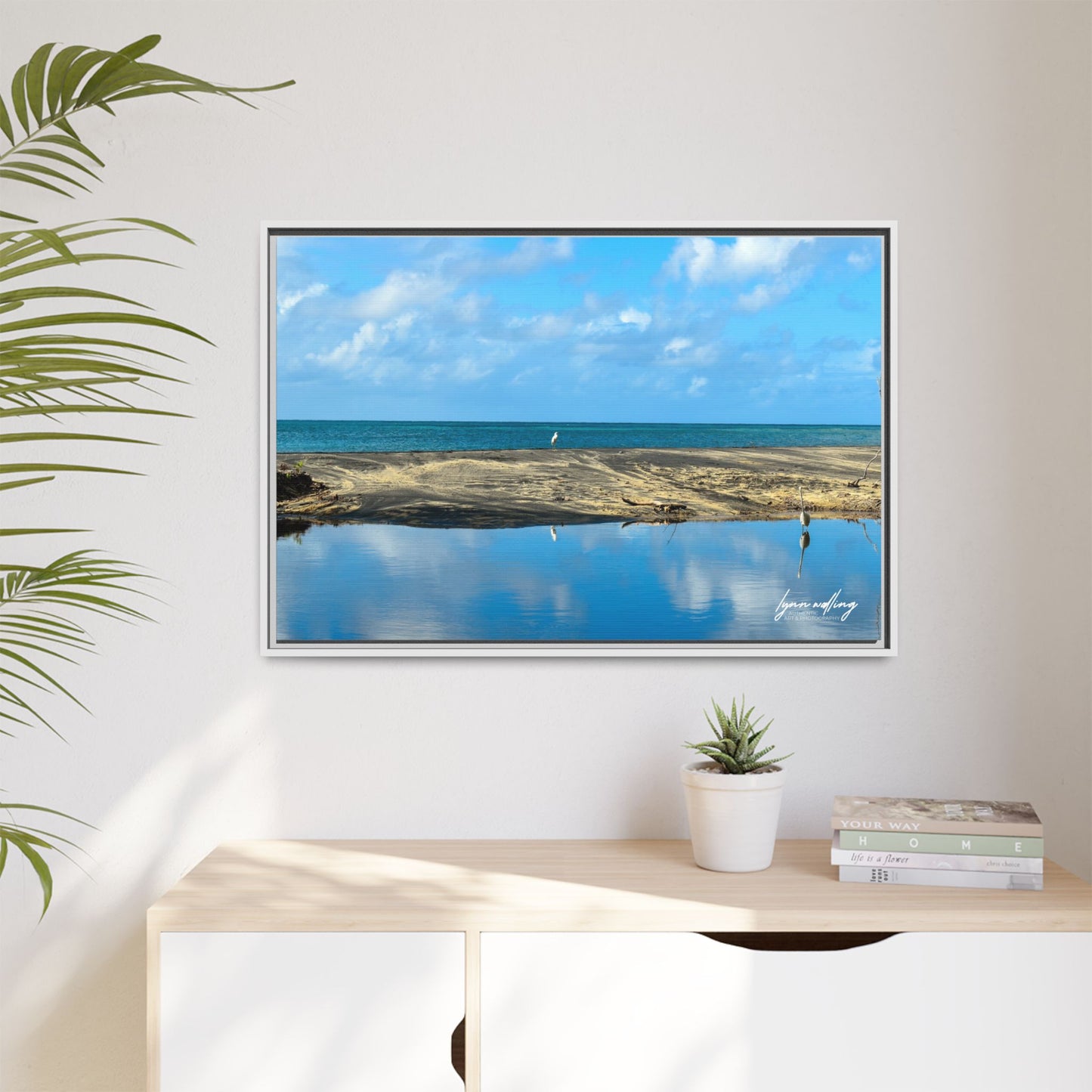 Wading - Puerto Rico