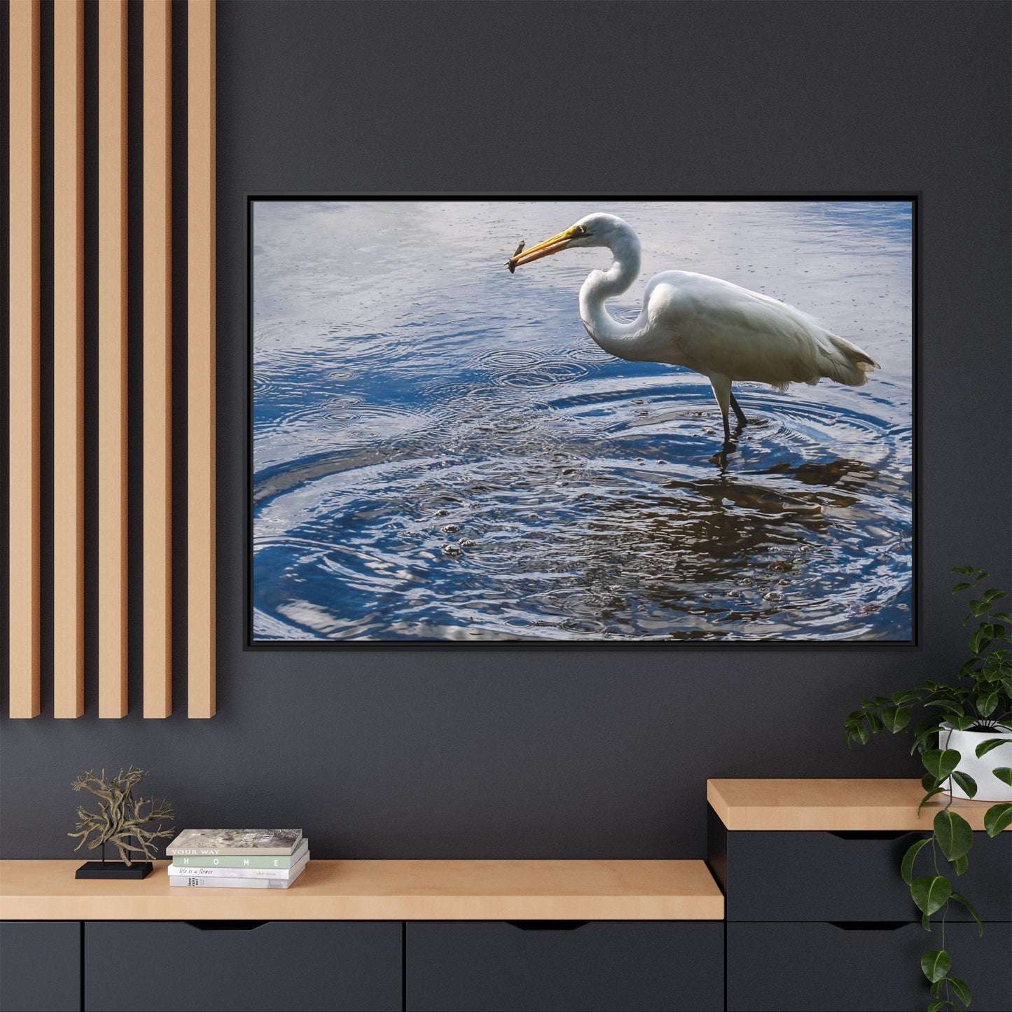 Hunting - Puerto Rico