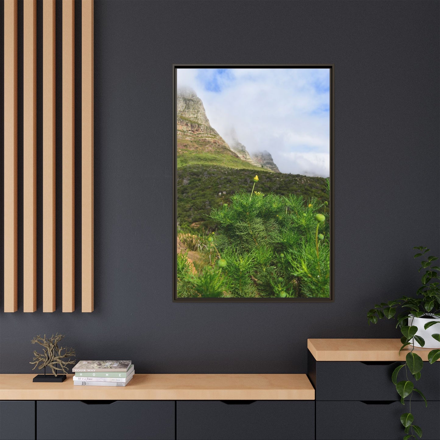 Wildflower - Capetown