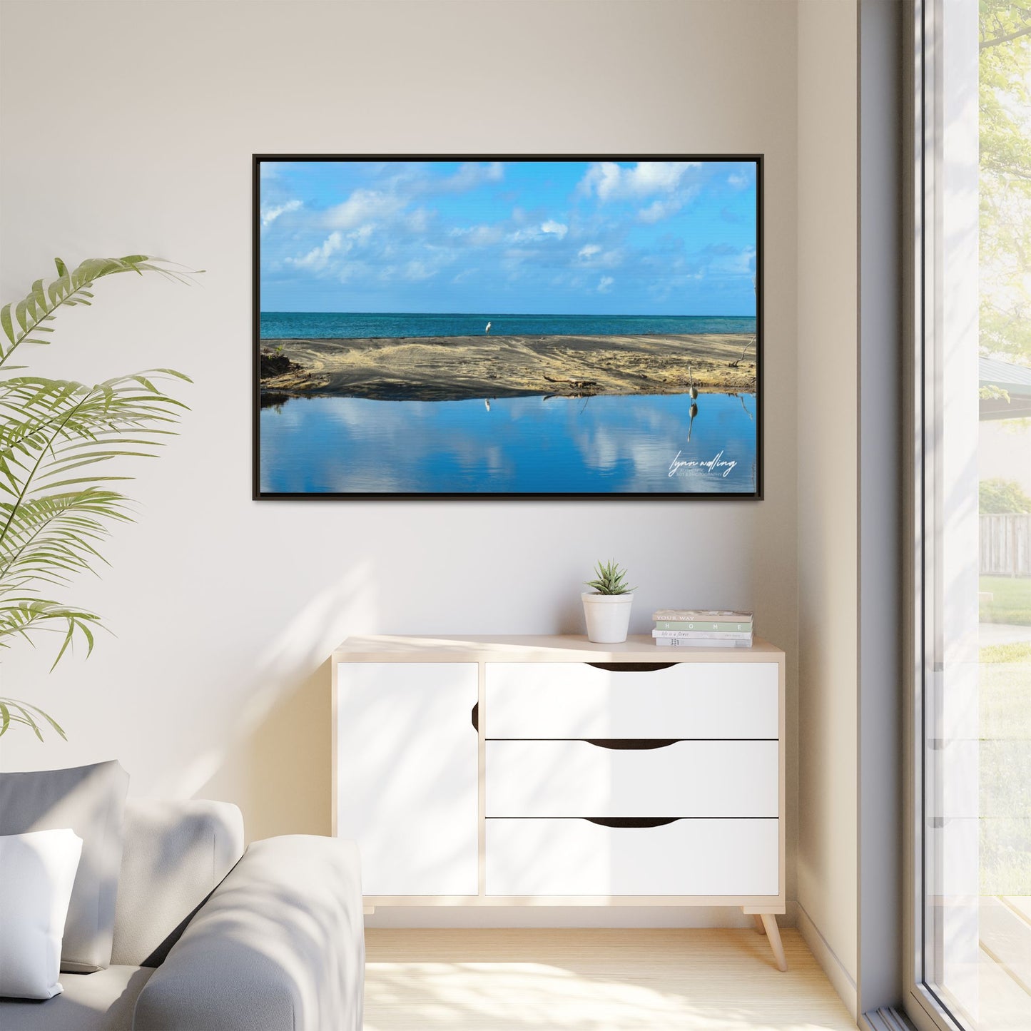 Wading - Puerto Rico