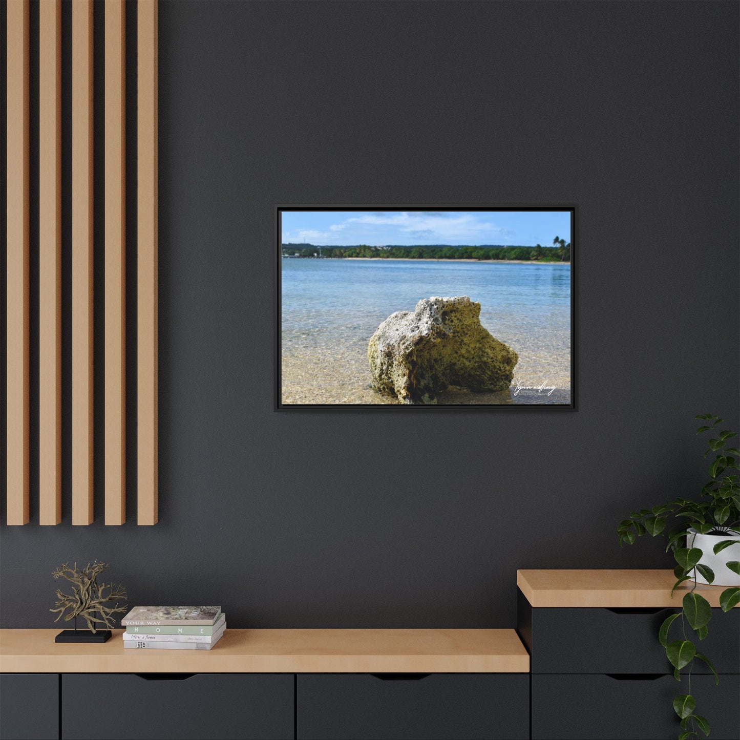 The View - Puerto Rico