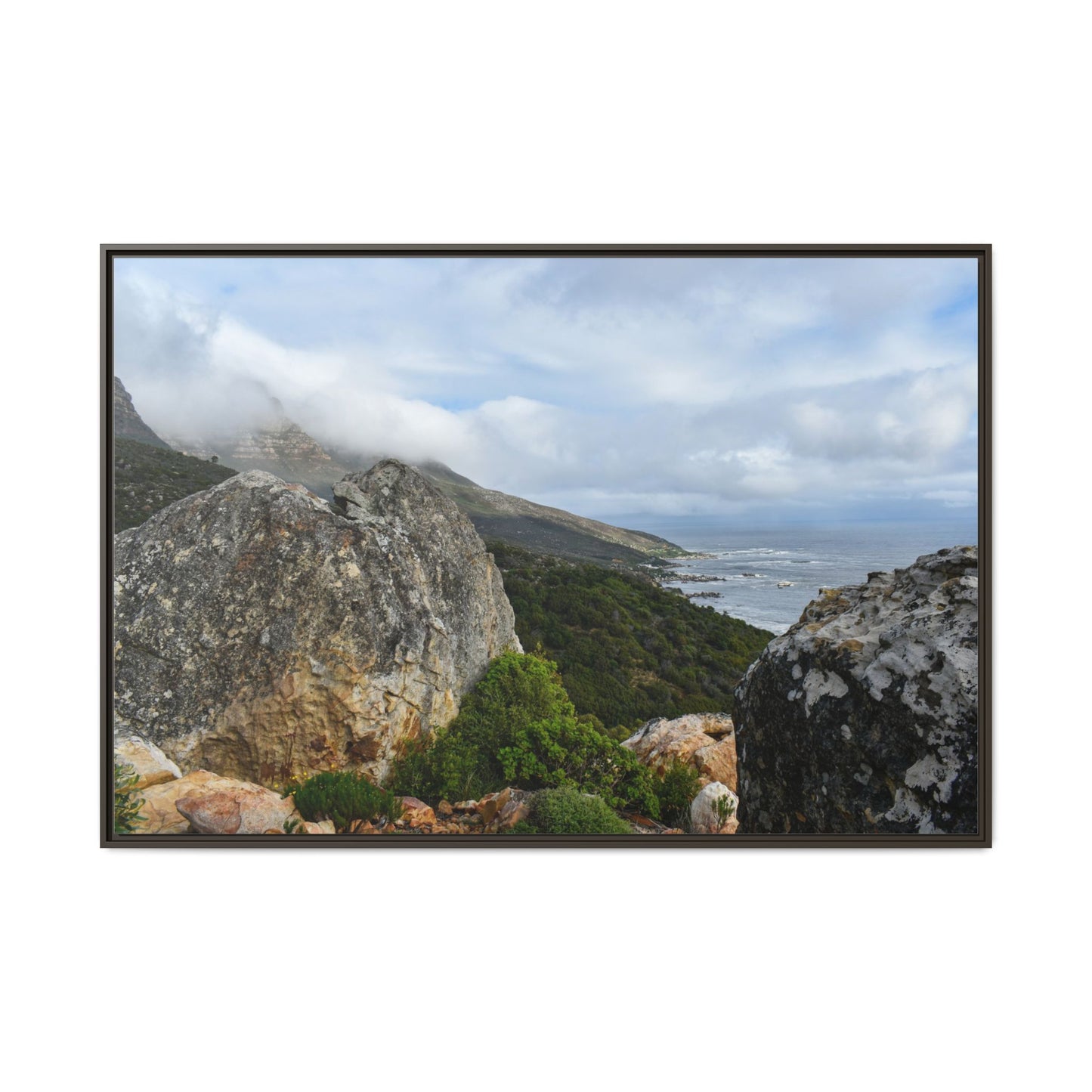 The View - Cape Town