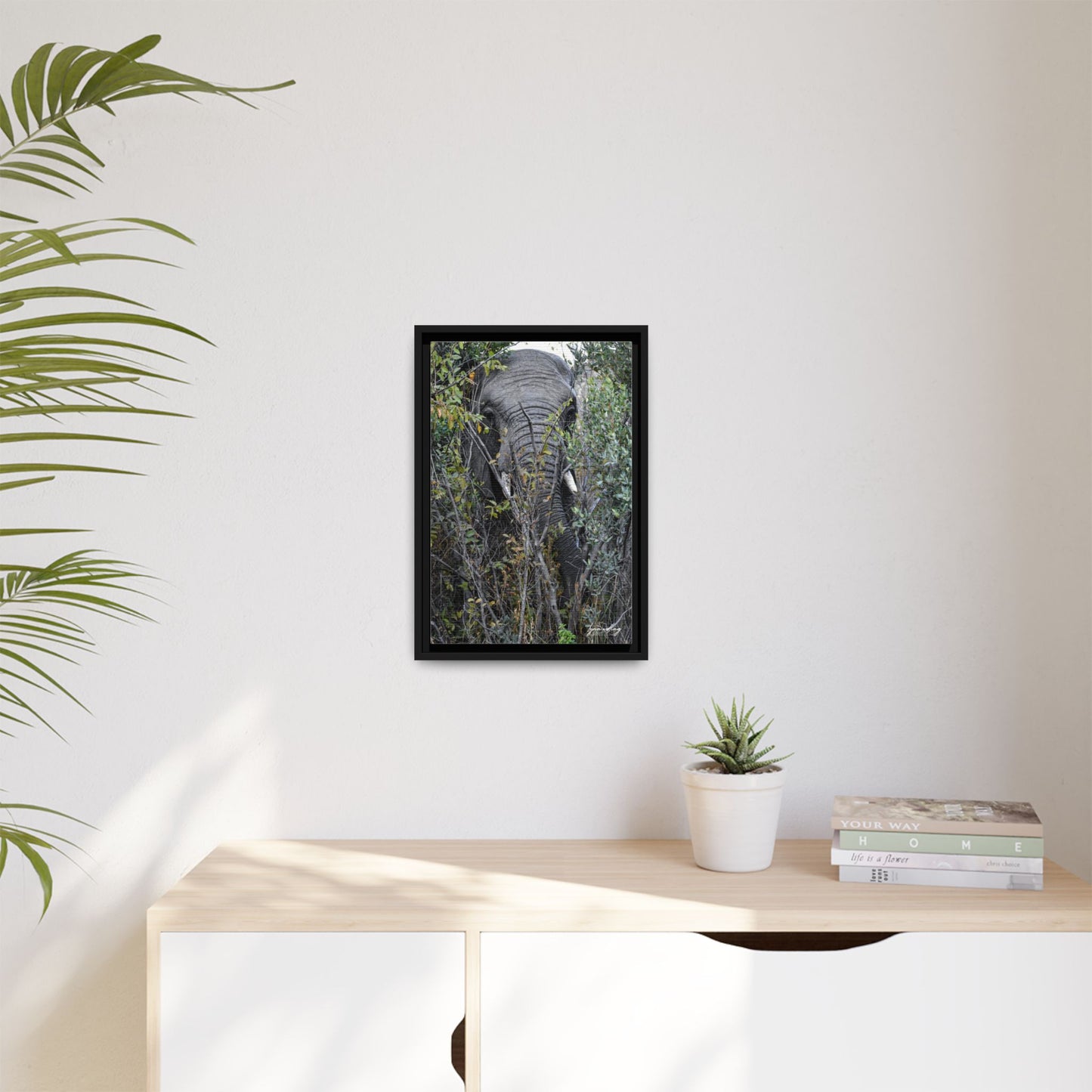 Eye to Eye - South Africa