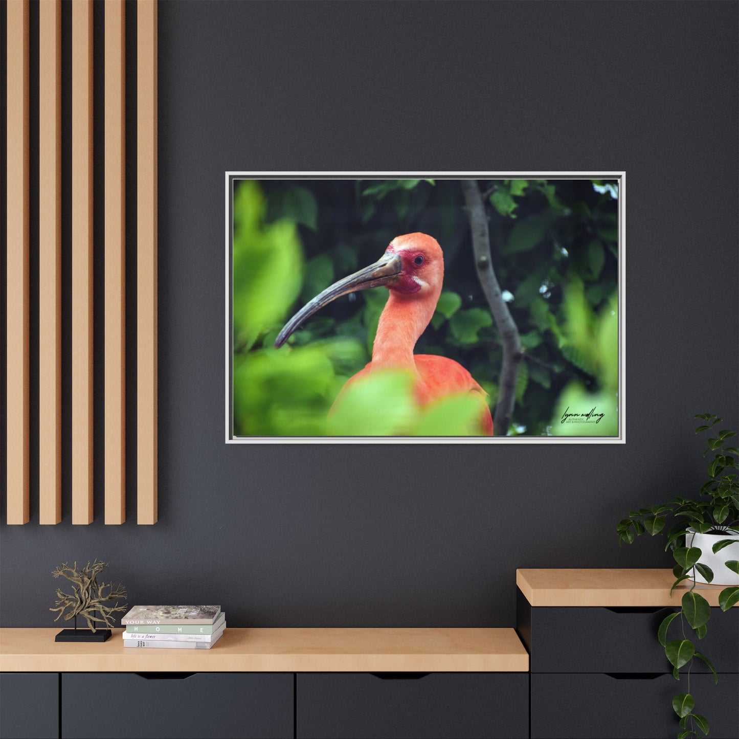 Wanna Be Flamingo - Switzerland