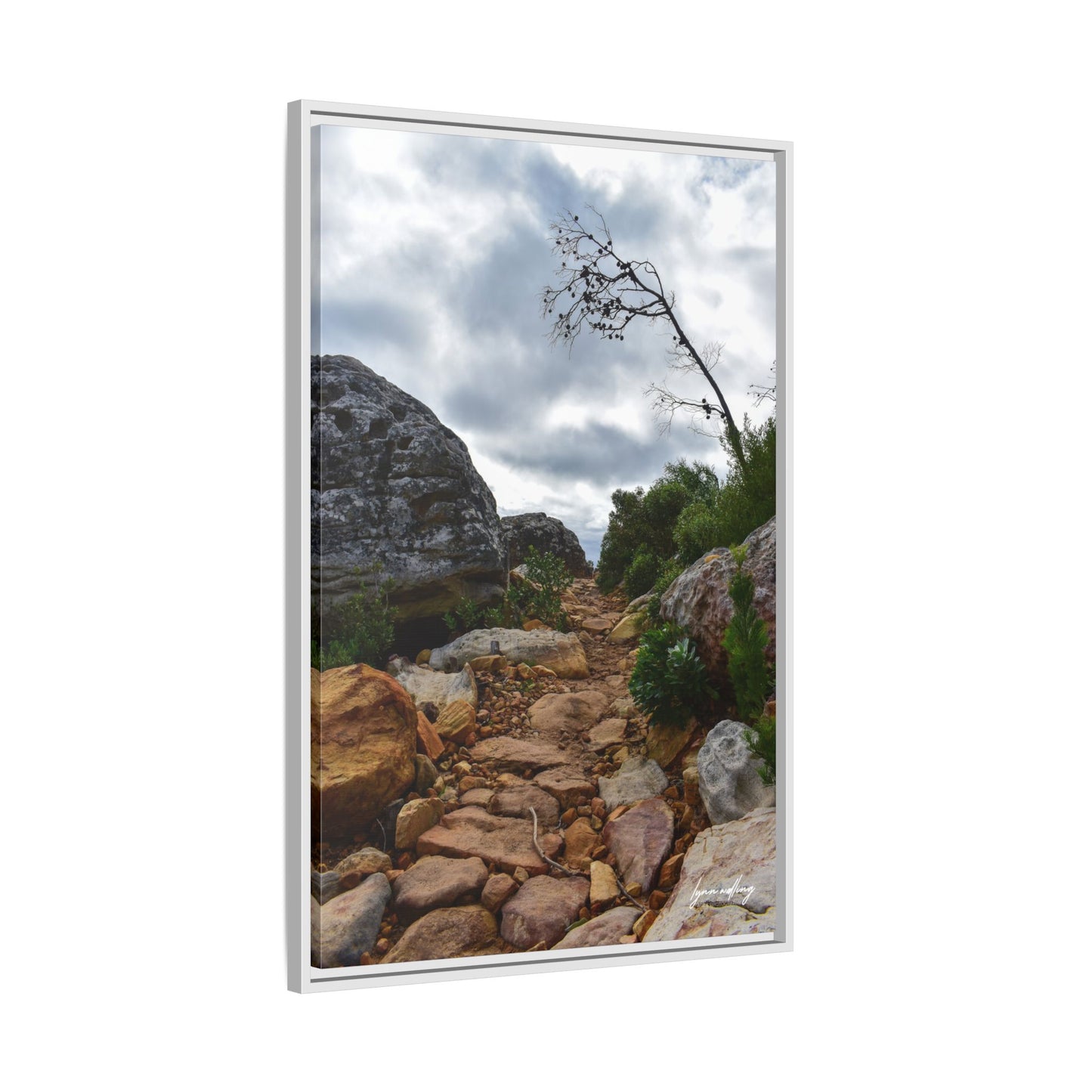 Path to Nowhere - Capetown