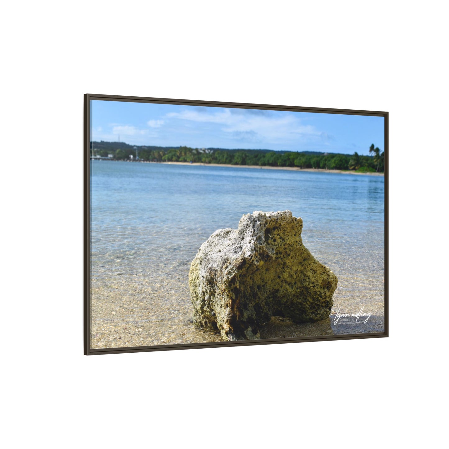 The View - Puerto Rico