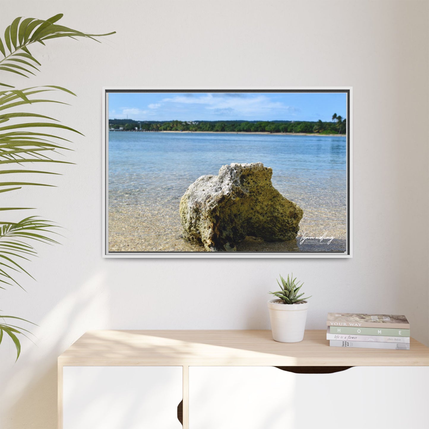 The View - Puerto Rico