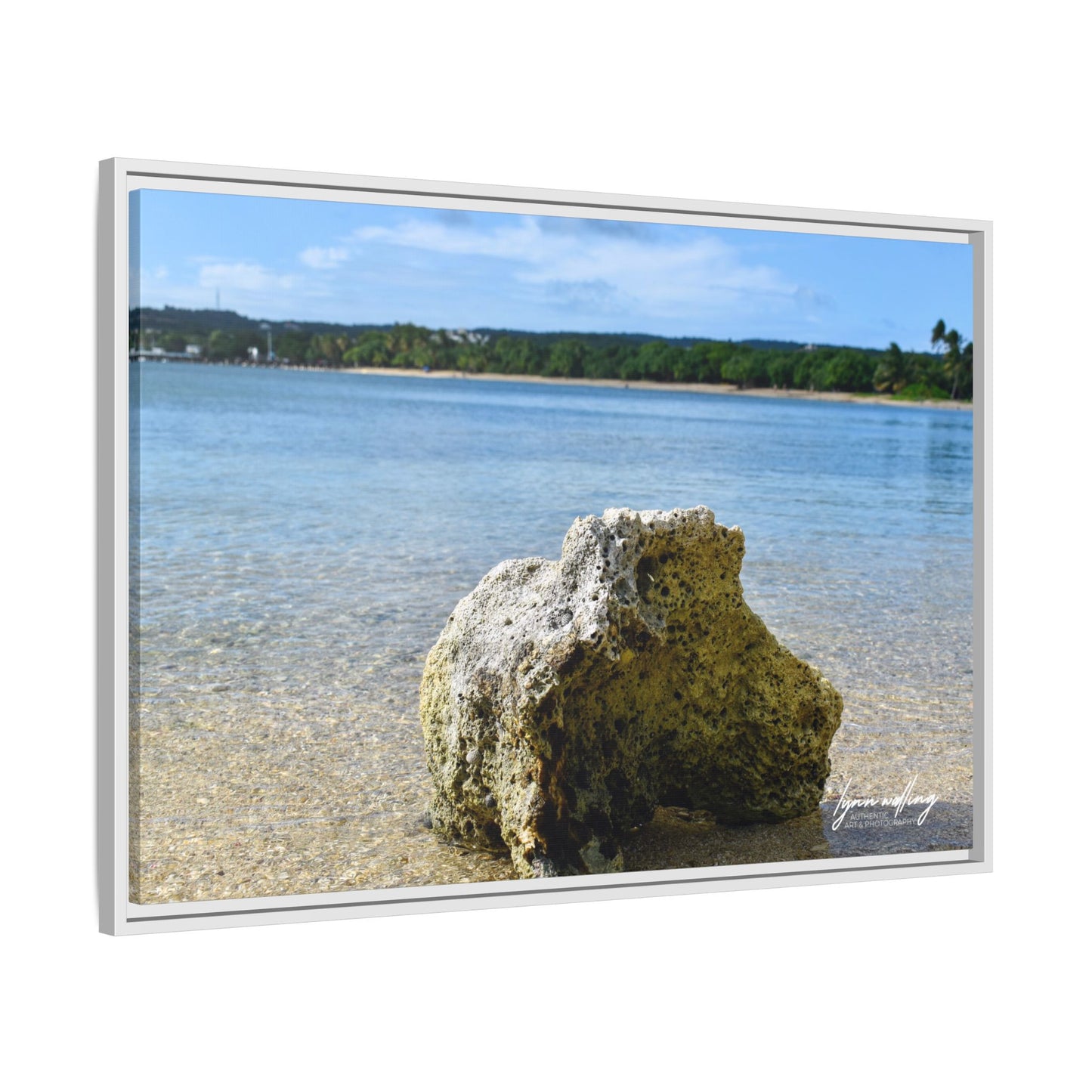 The View - Puerto Rico