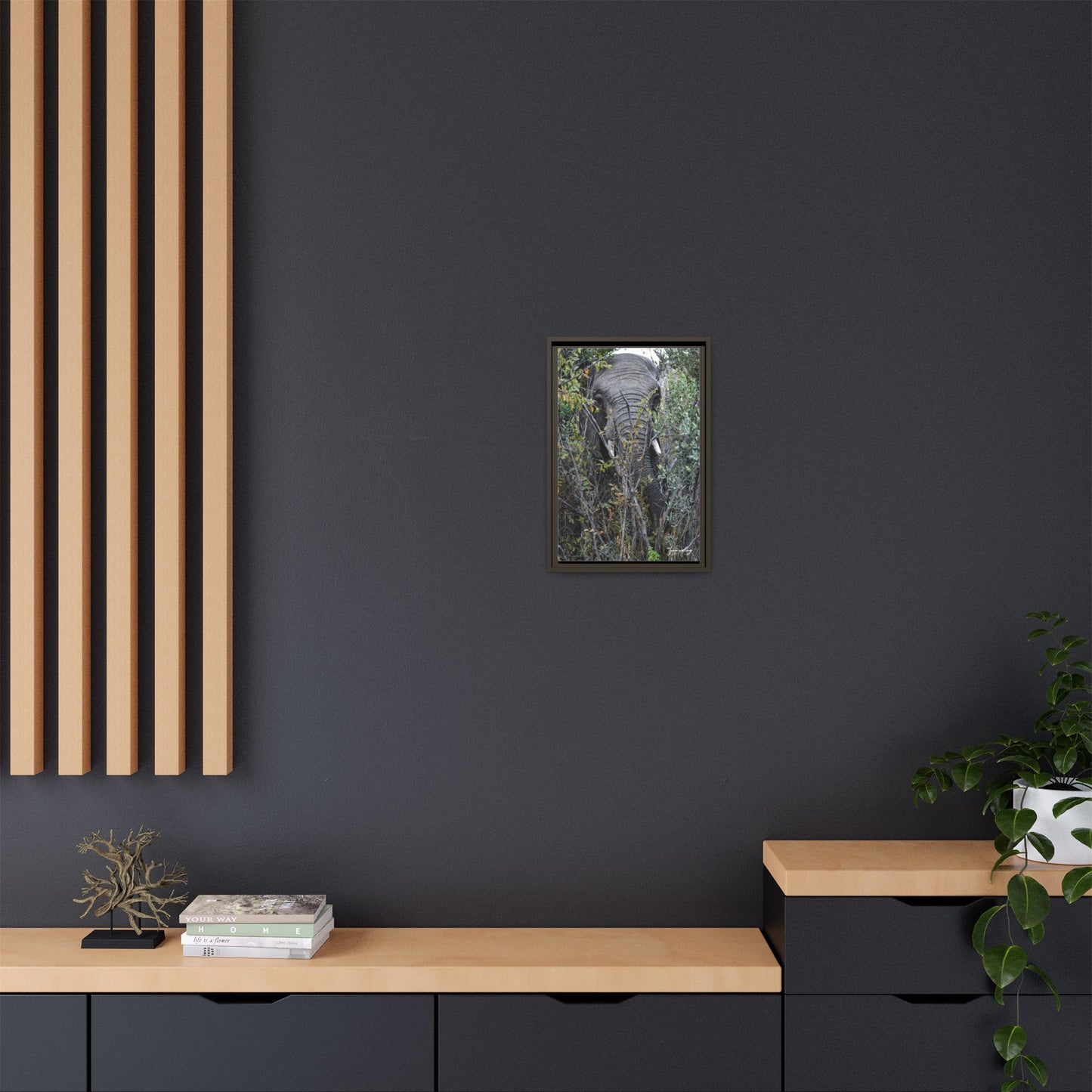 Eye to Eye - South Africa