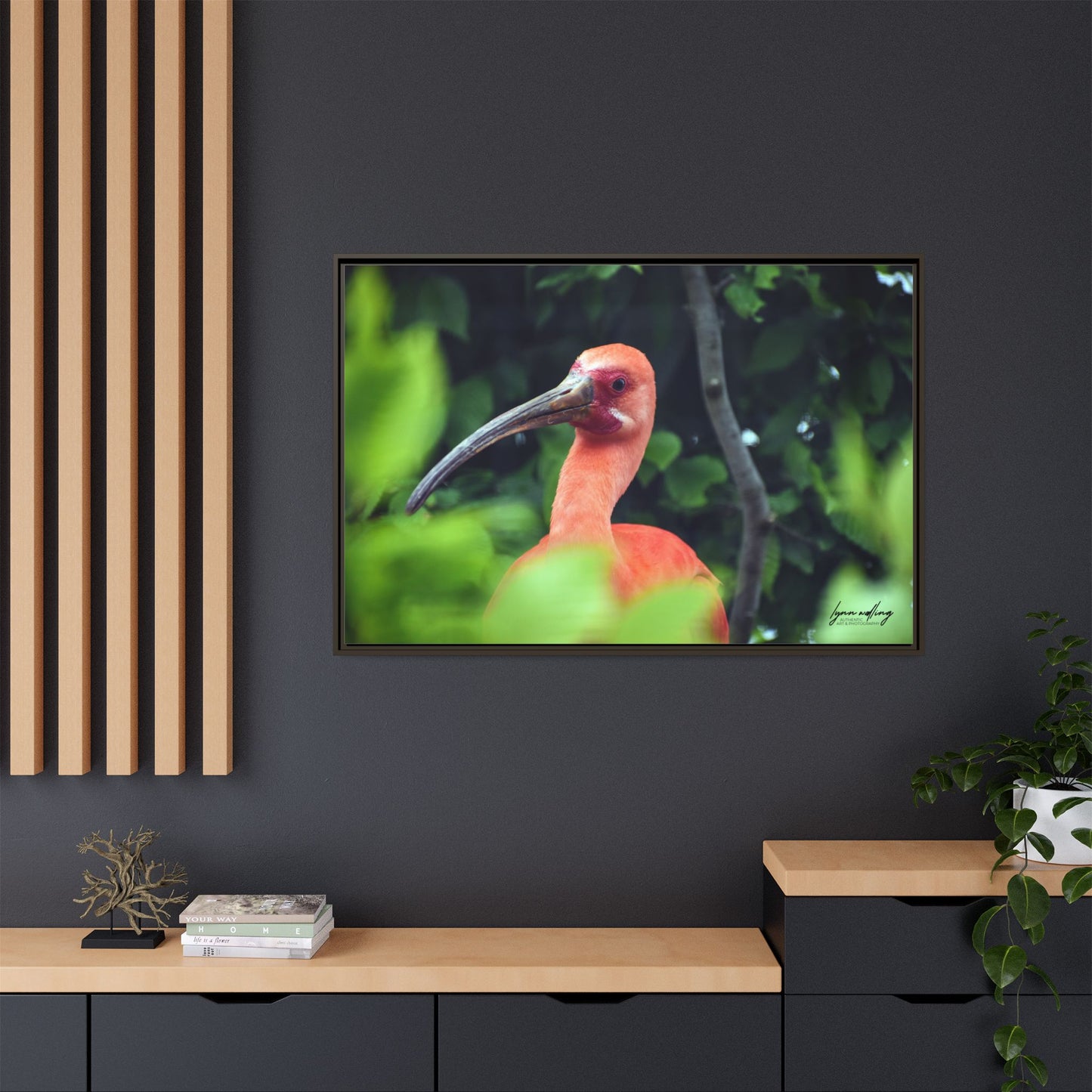 Wanna Be Flamingo - Switzerland