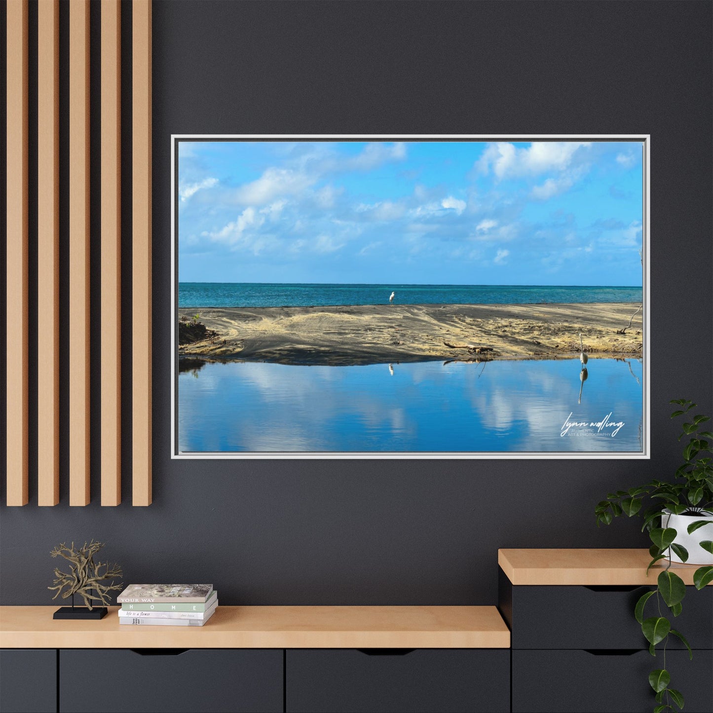 Wading - Puerto Rico